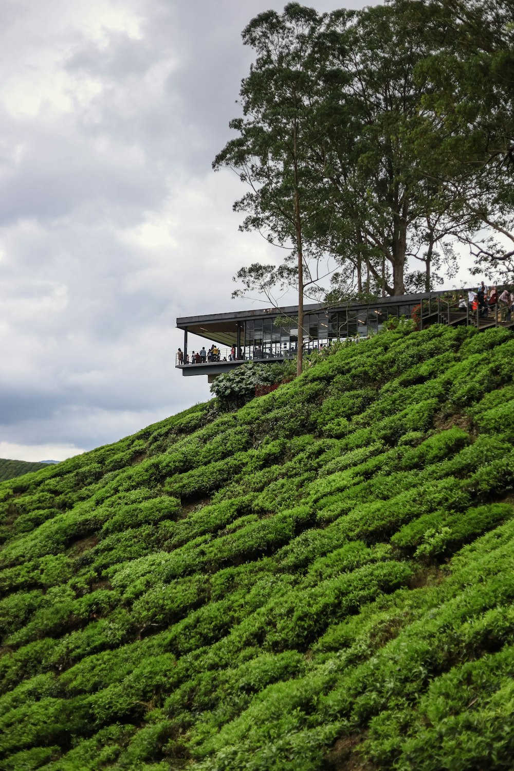 a building on a hill