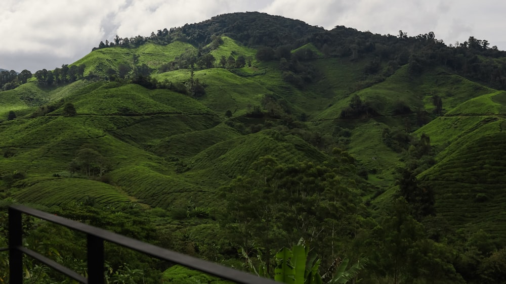 a green hilly landscape