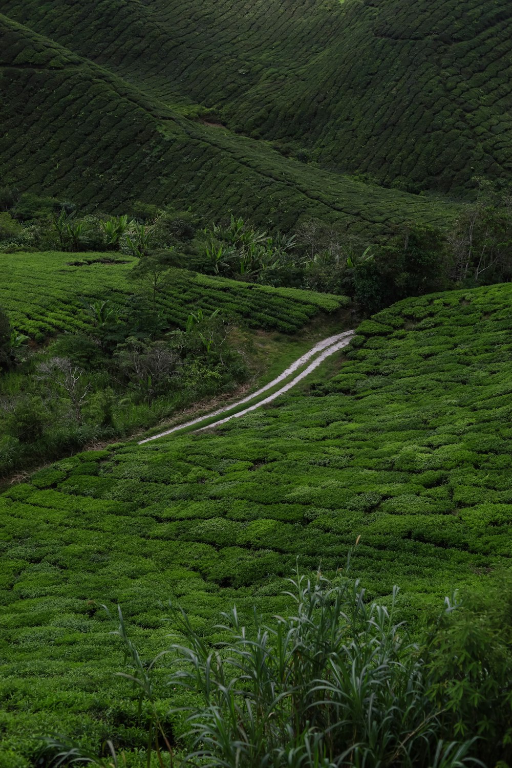 Una strada sterrata in una valle