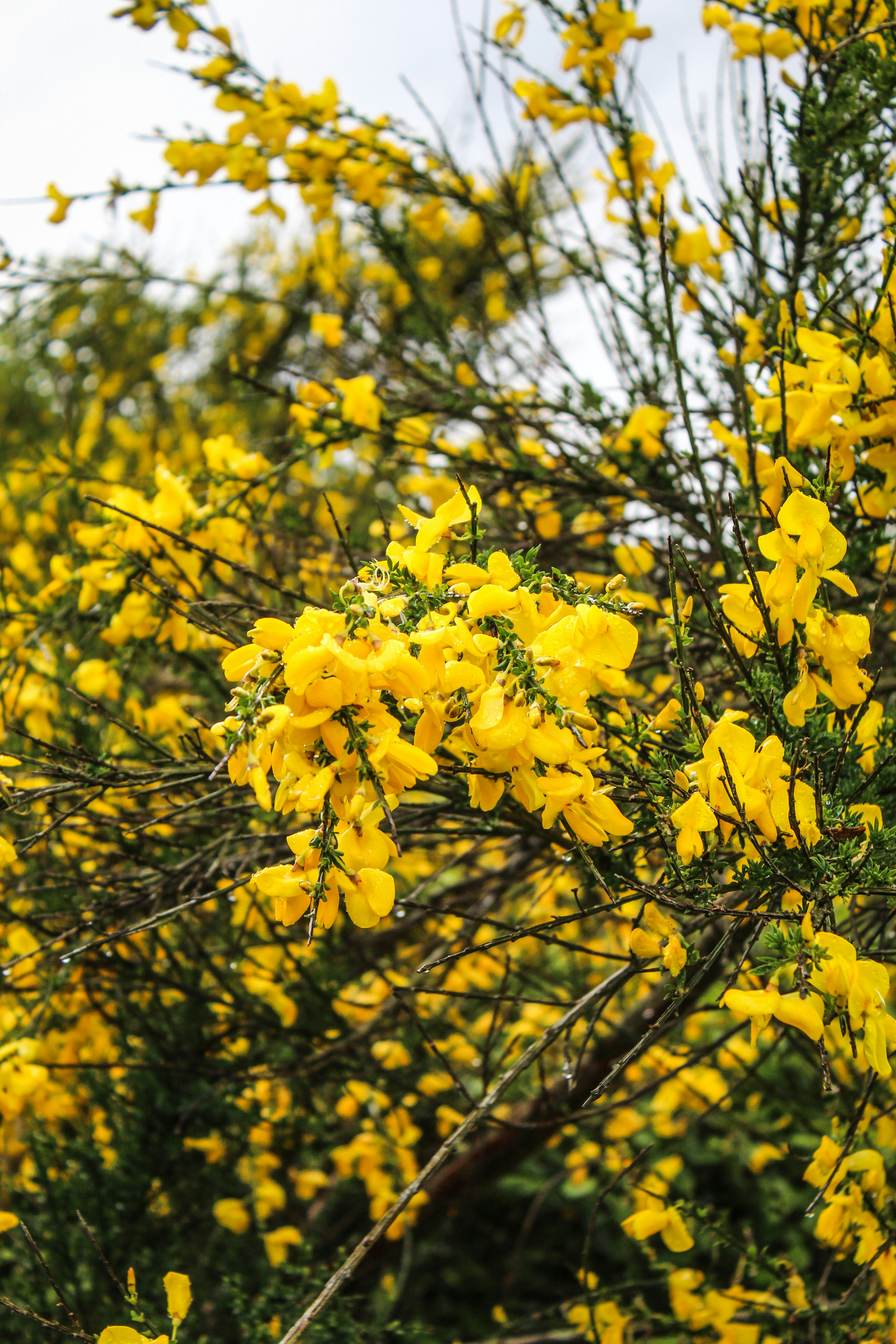 Photo by focalinsight