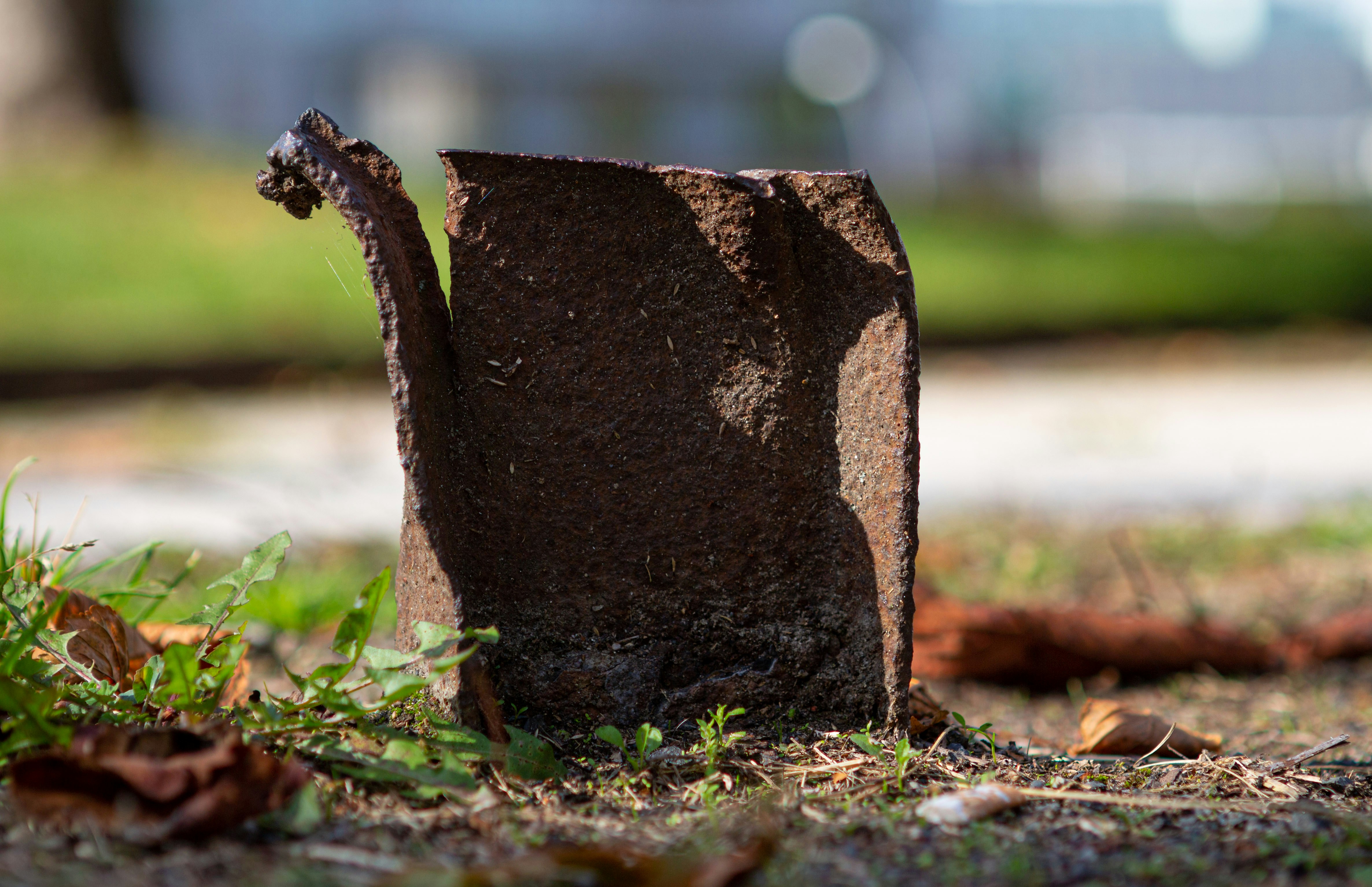 un tocón de árbol con un agujero