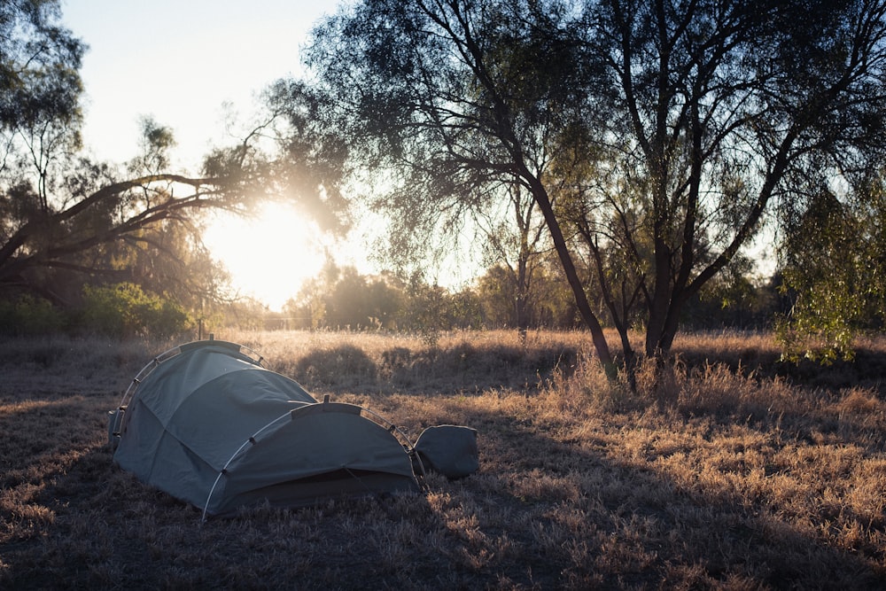 a tent in a field with trees