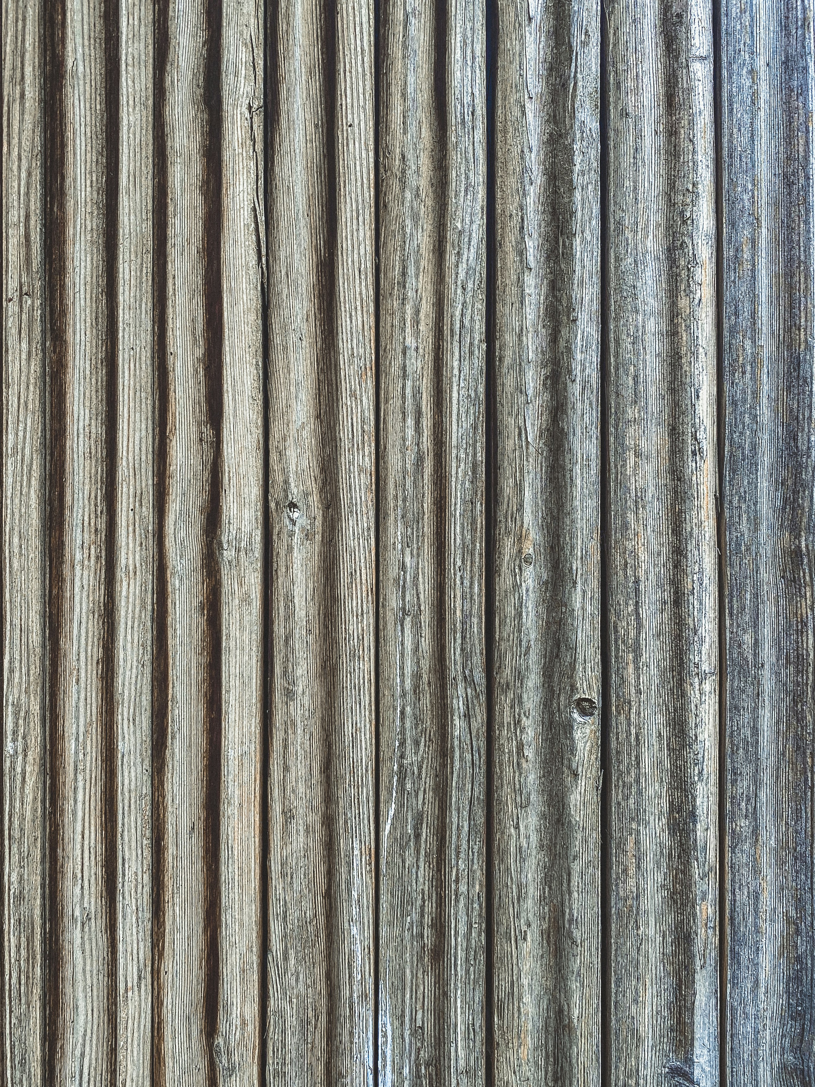 Photo by your_scorpion