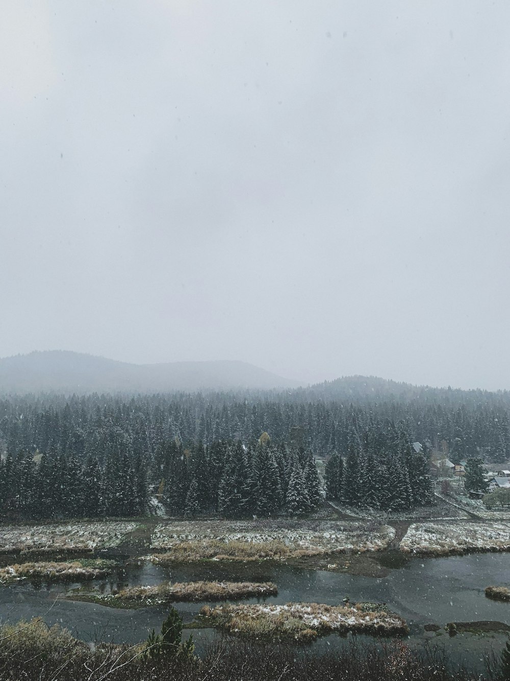 a snowy landscape with trees and mountains