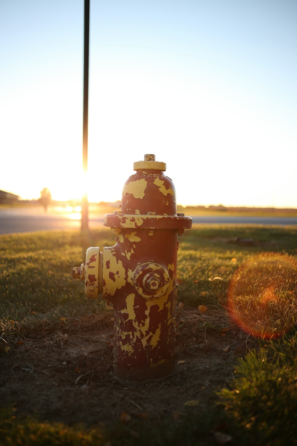a fire hydrant in a field