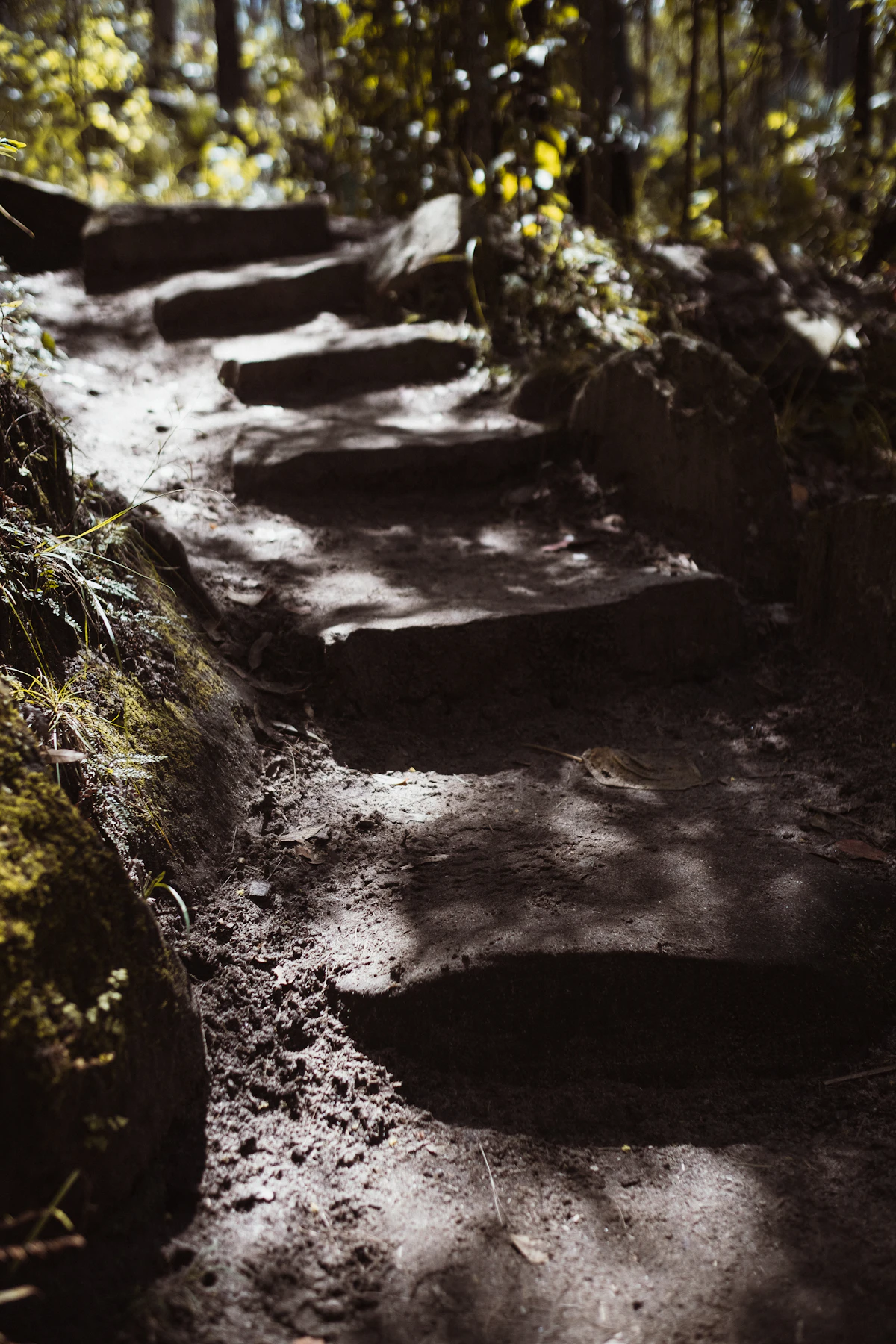 Randonnée forêt et cascade — 2 / 2