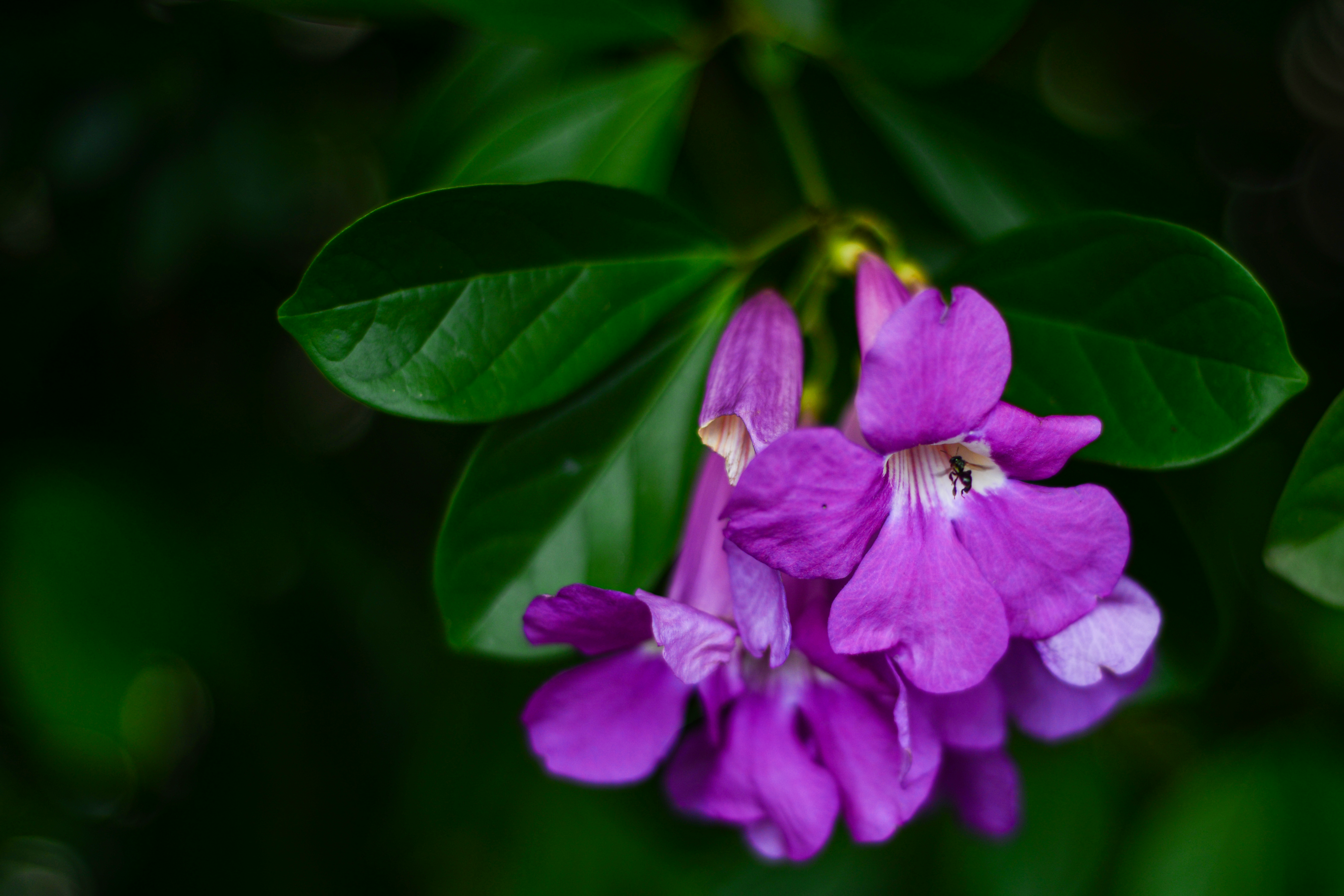 Photo by smithclukas