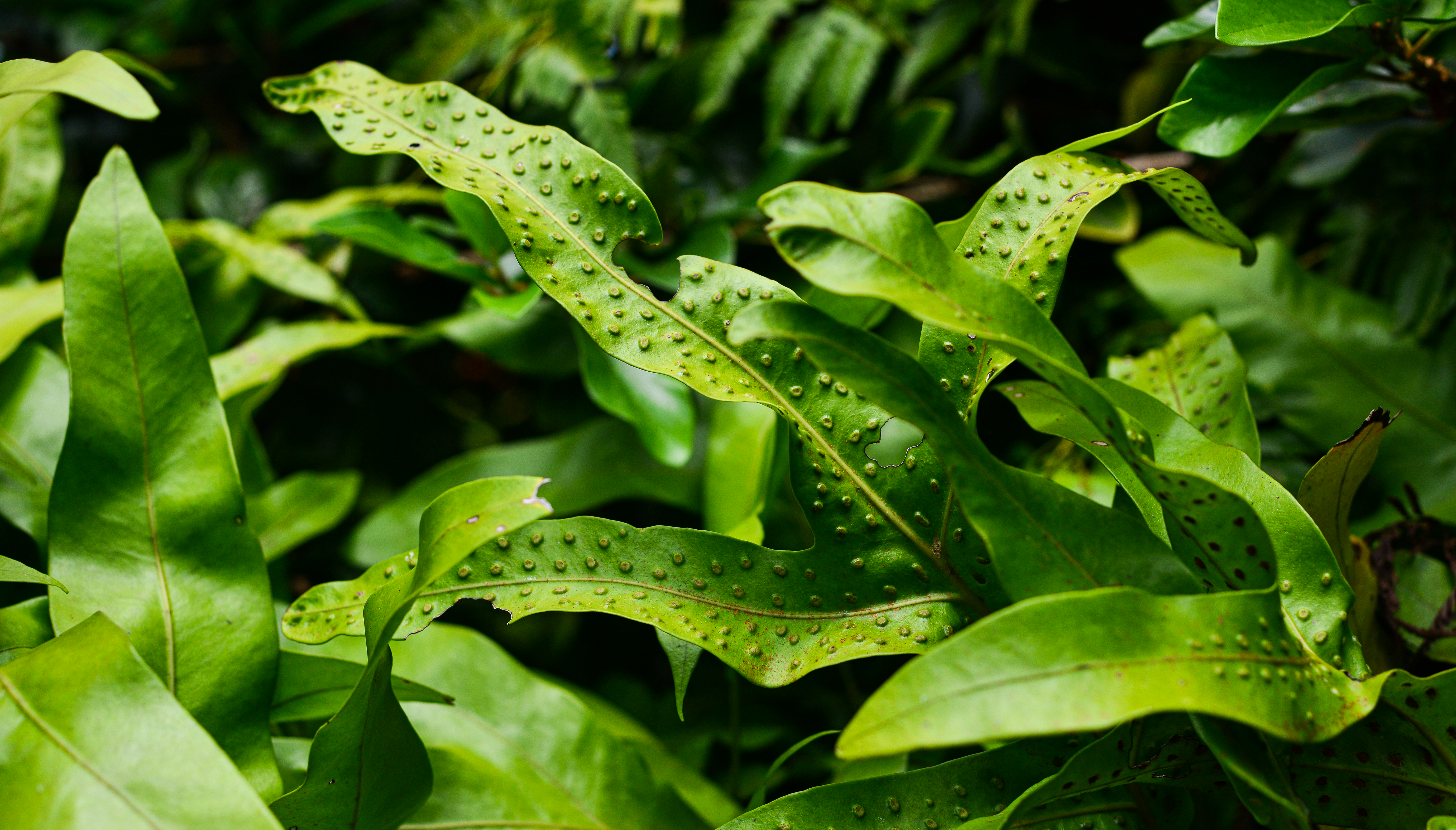 Photo by smithclukas