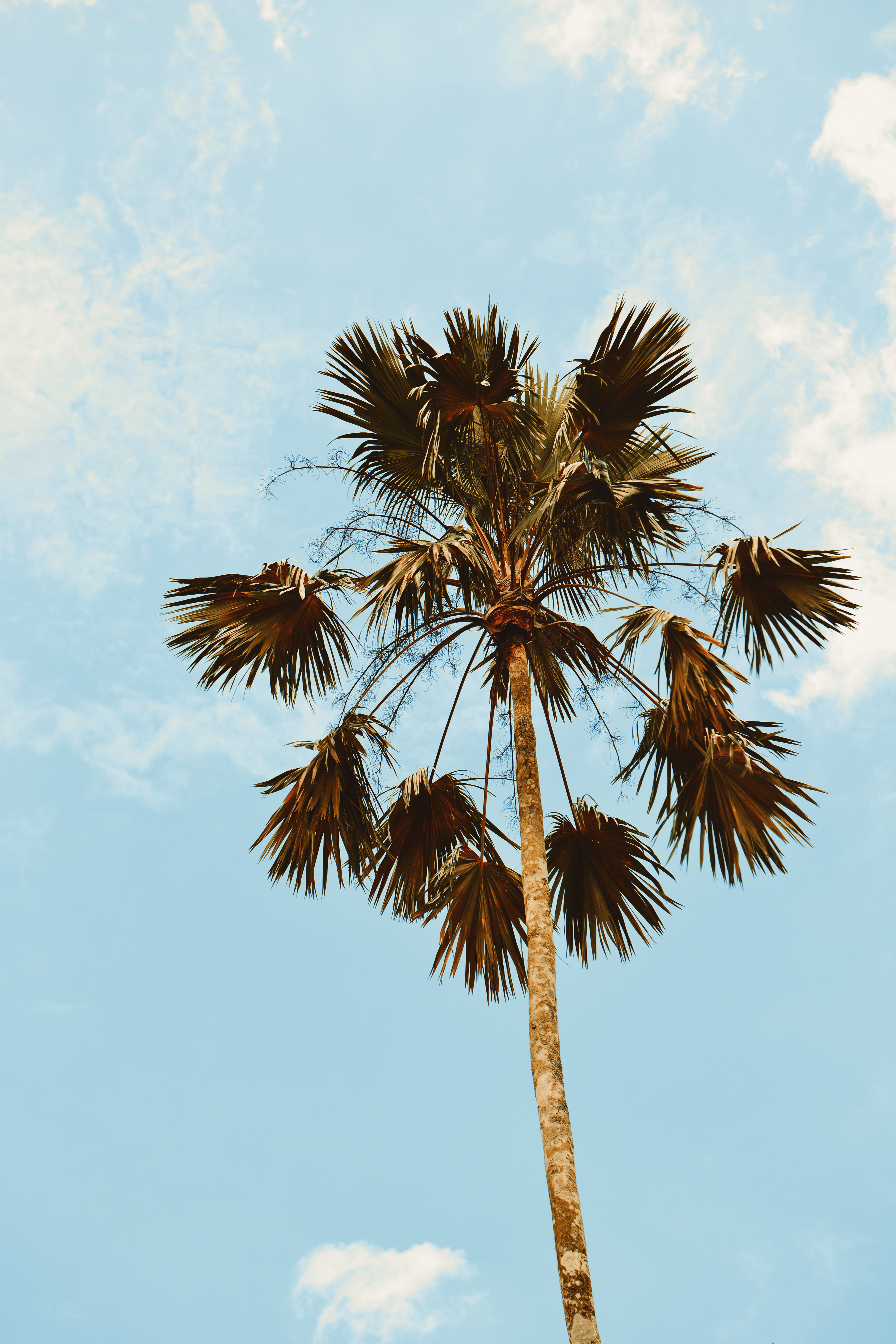 Photo by smithclukas