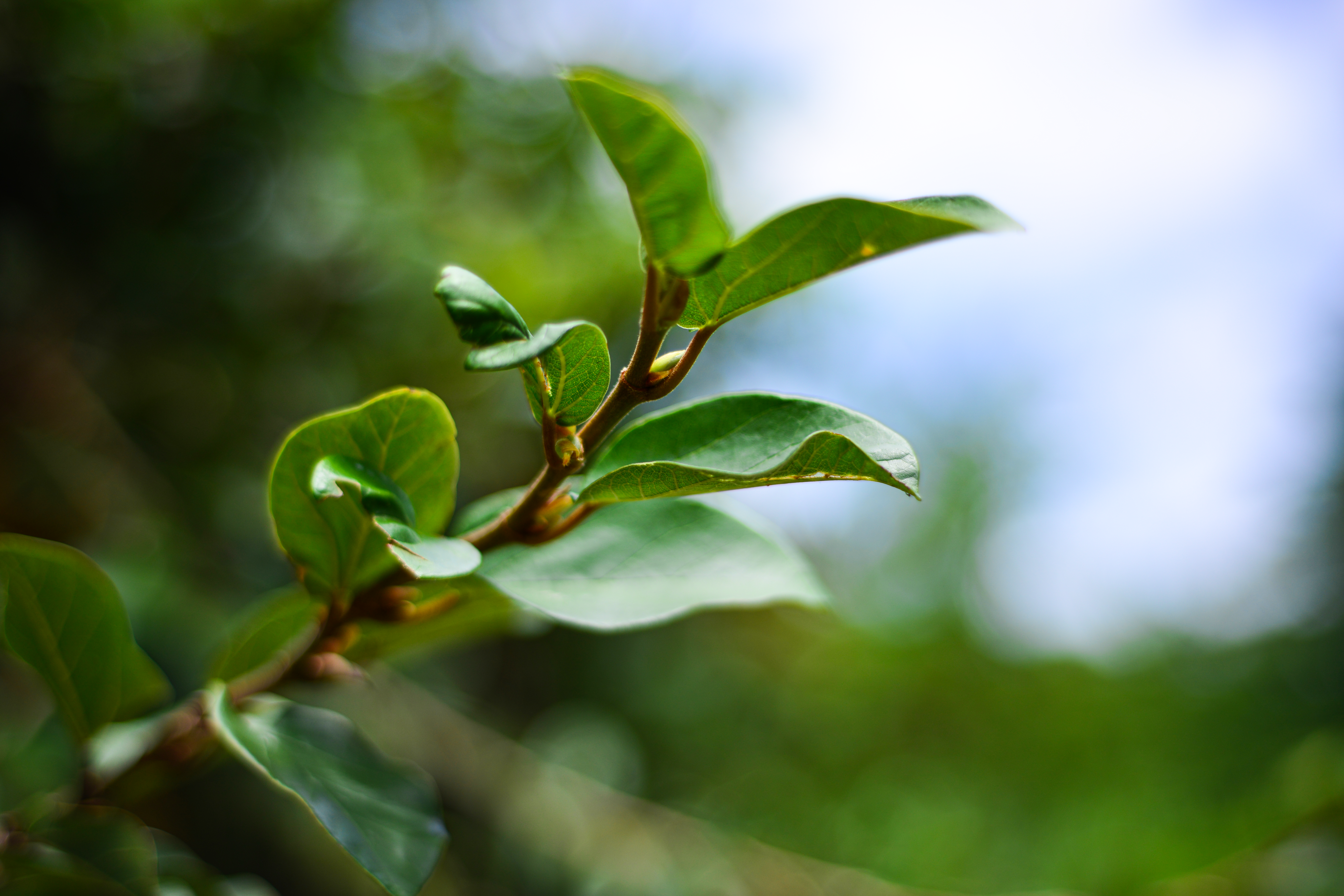 Photo by smithclukas