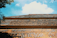 A series of corrugated metal roofs are visible, with a worn and rusty appearance. The roofs are positioned at an upward angle against a clear blue sky with a few fluffy white clouds. On the left edge, a branch of foliage intrudes slightly into the frame.