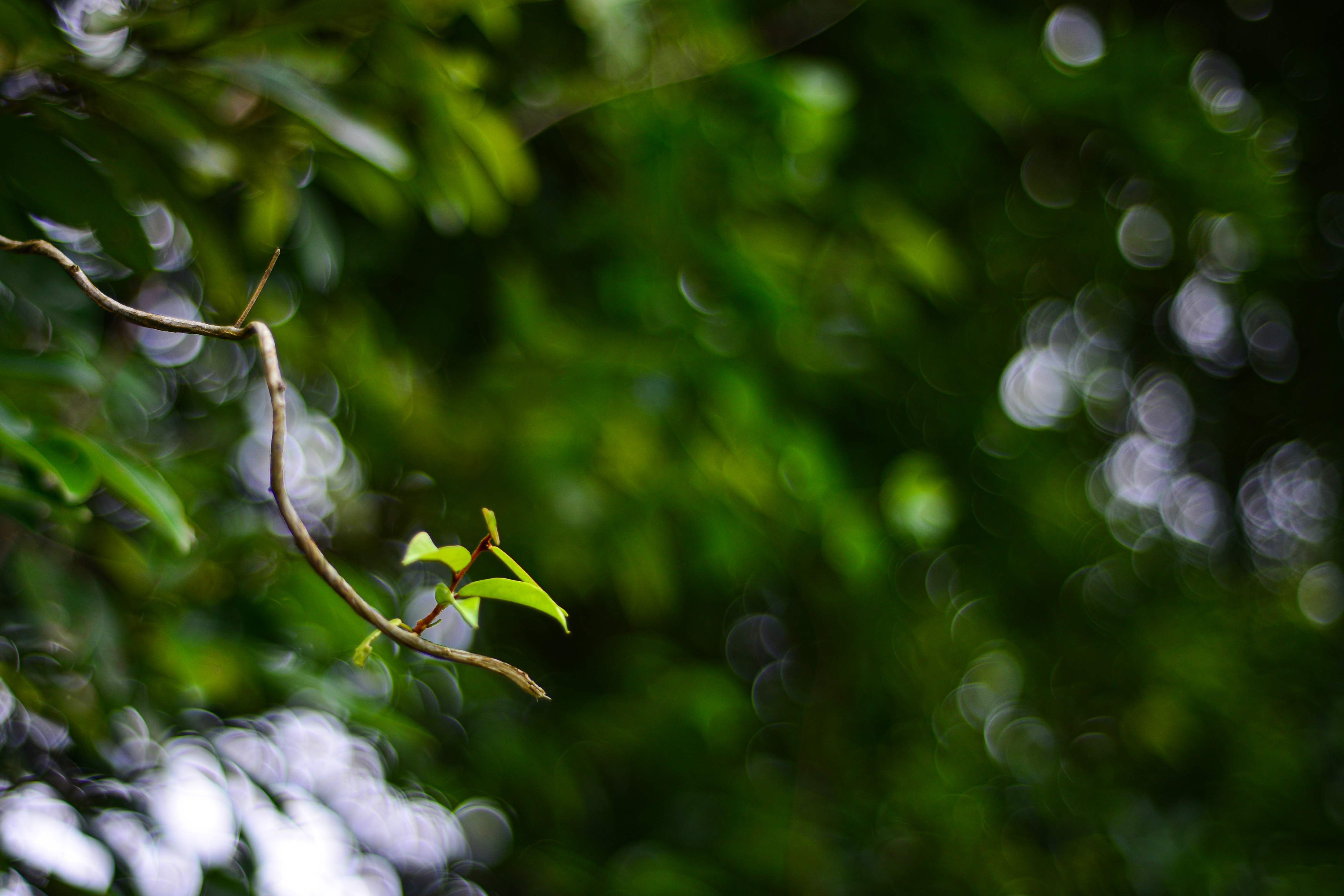 Photo by smithclukas