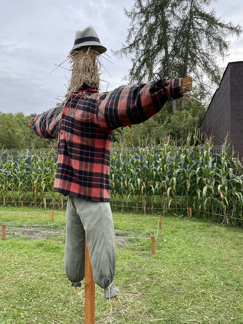 a man wearing a plaid shirt and hat holding a wooden pole