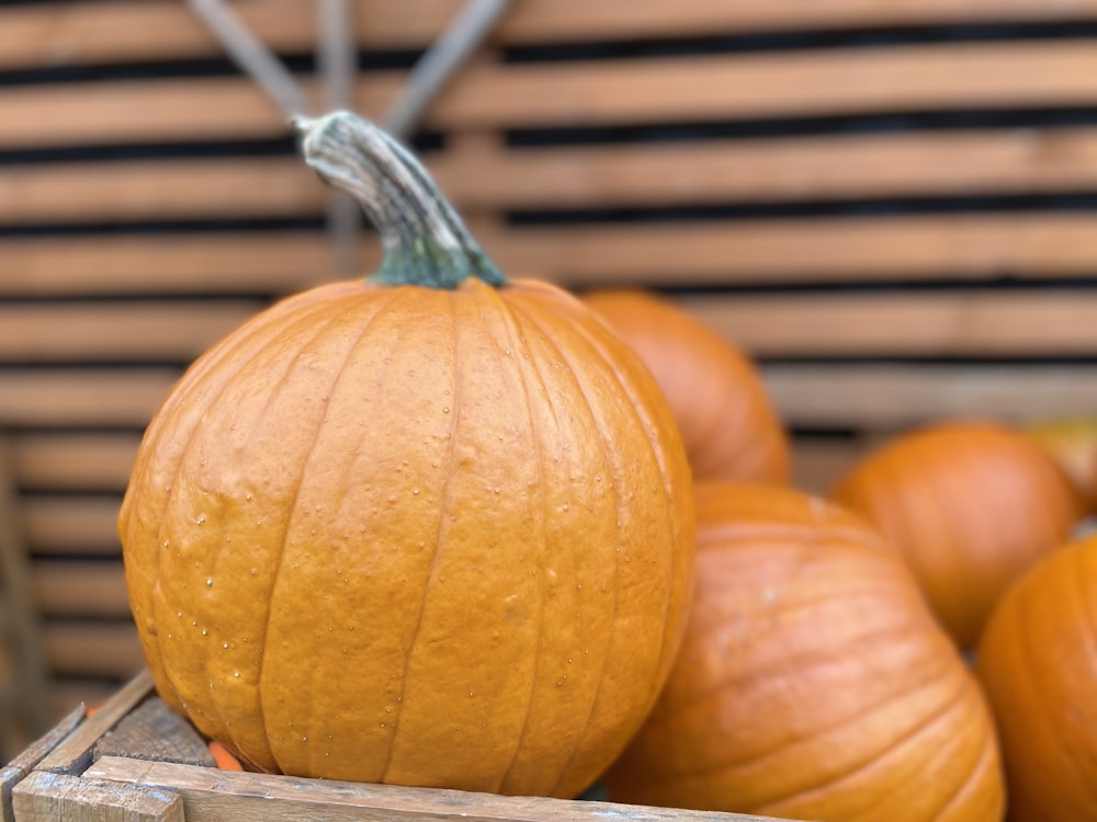 a pumpkin with a string tied around it