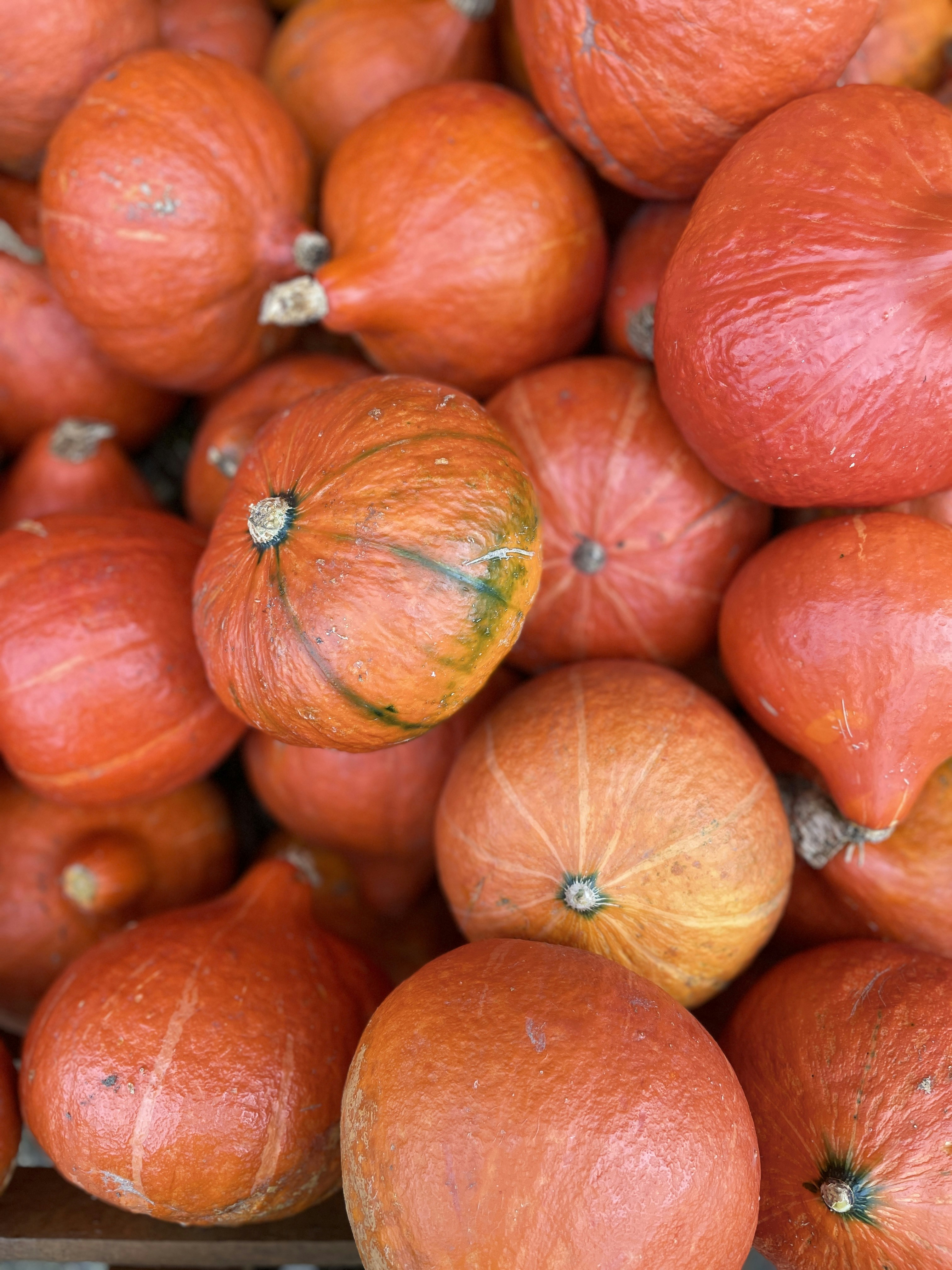 a pile of red tomatoes