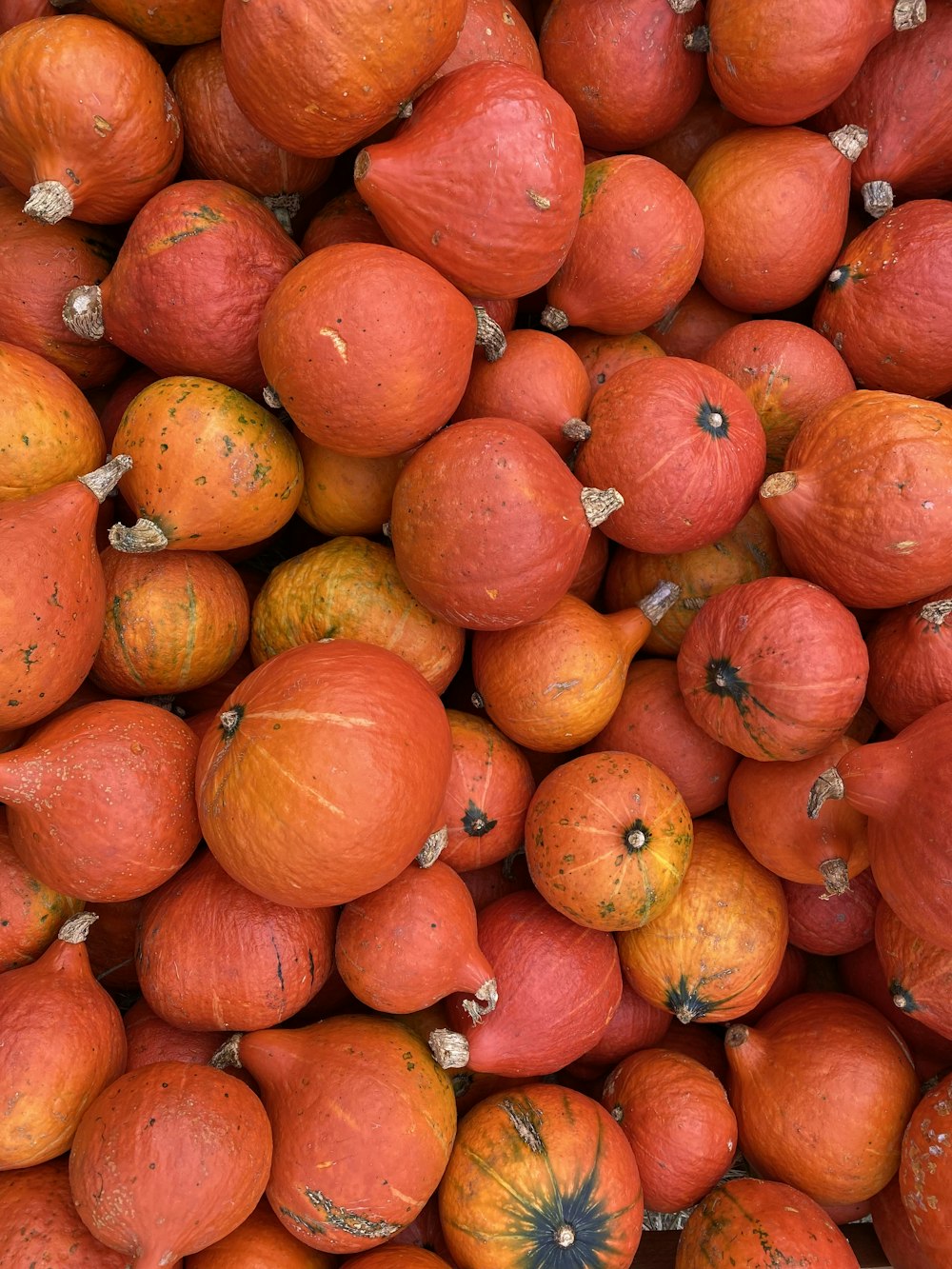 a pile of peaches