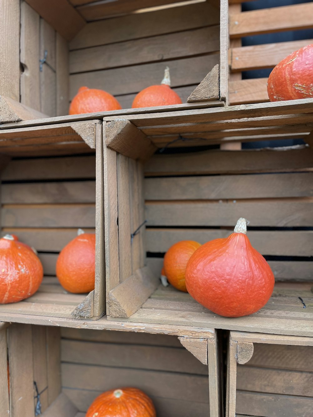 a group of pumpkins on a shelf