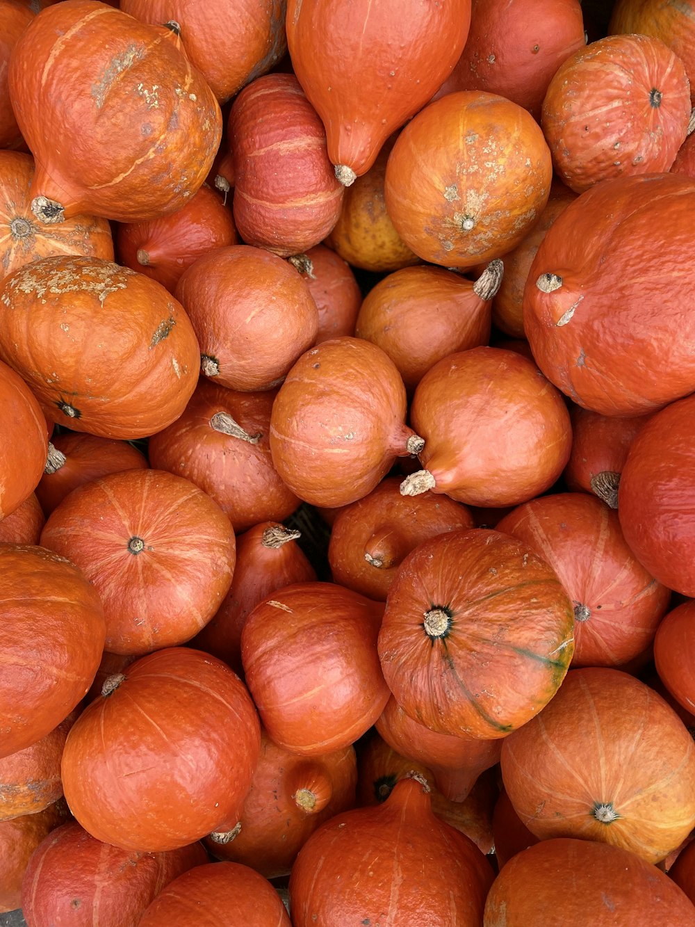 a pile of red and yellow pumpkins