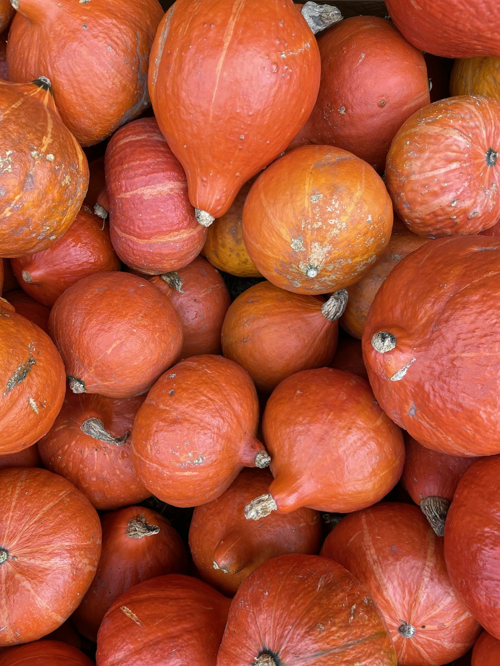 a pile of red potatoes