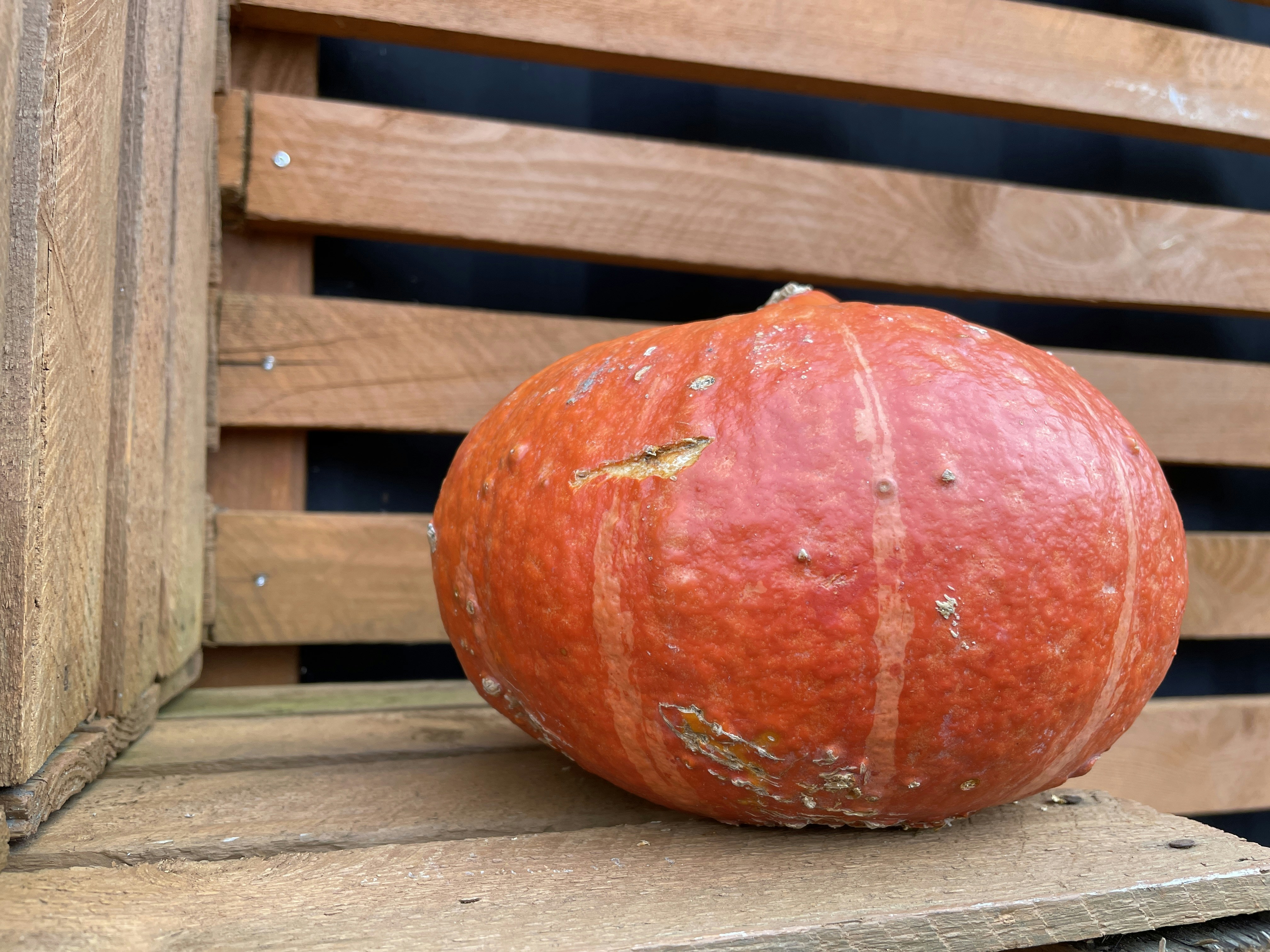 a red apple on a wooden surface