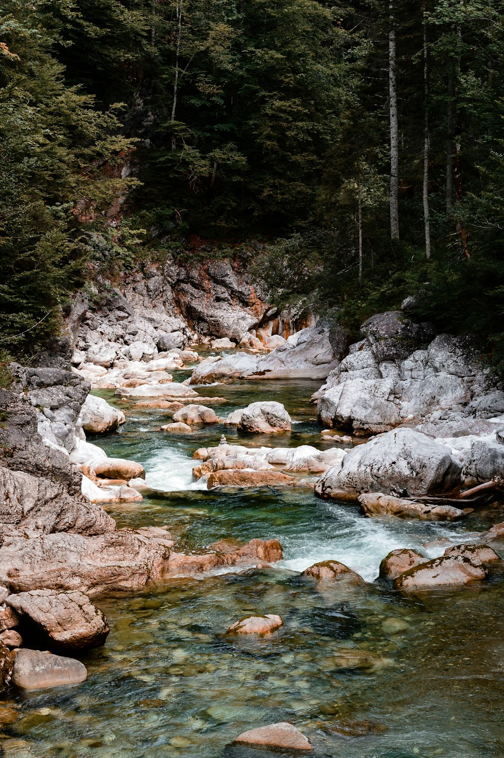 a river with rocks and trees