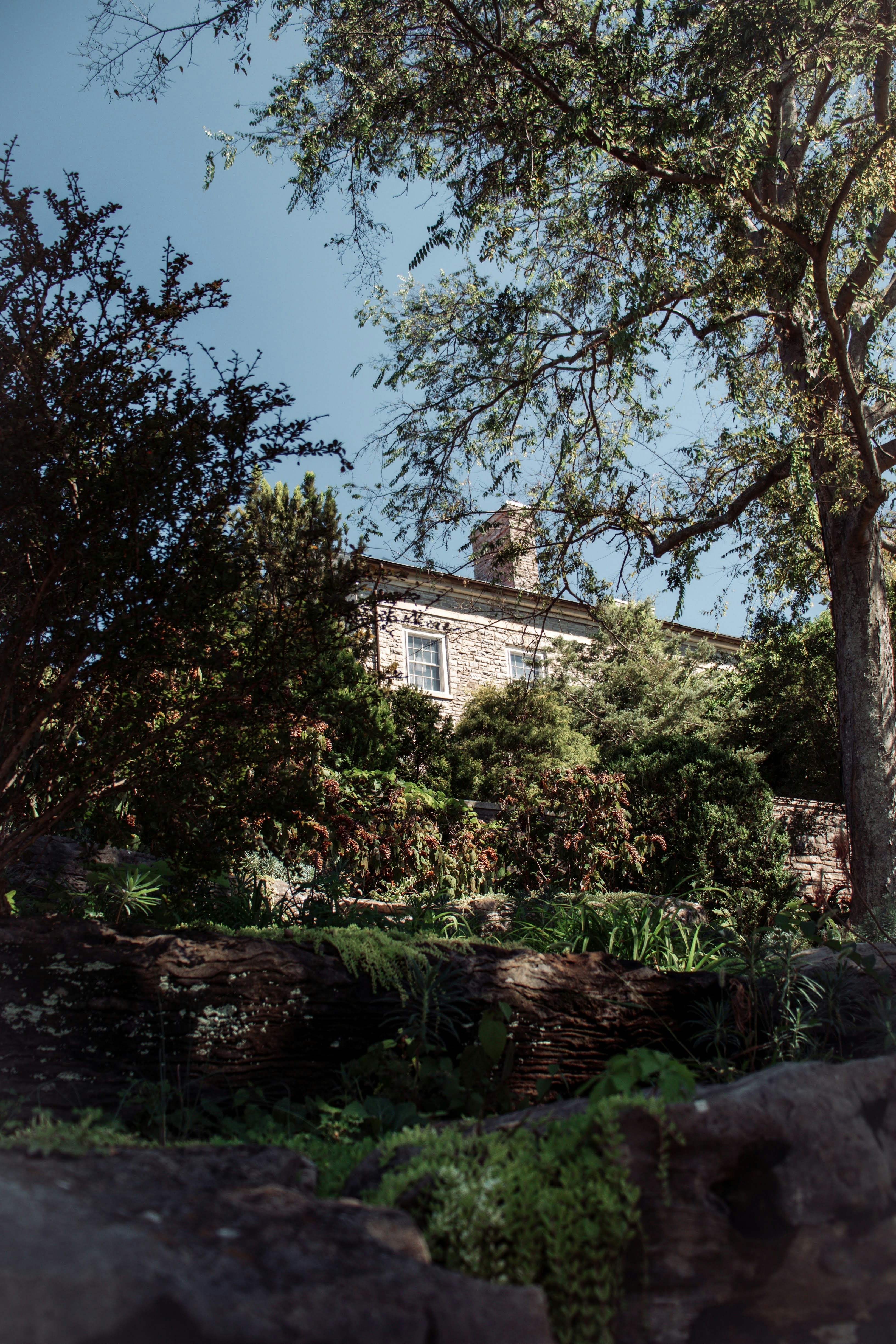 Photo by brice_cooper18