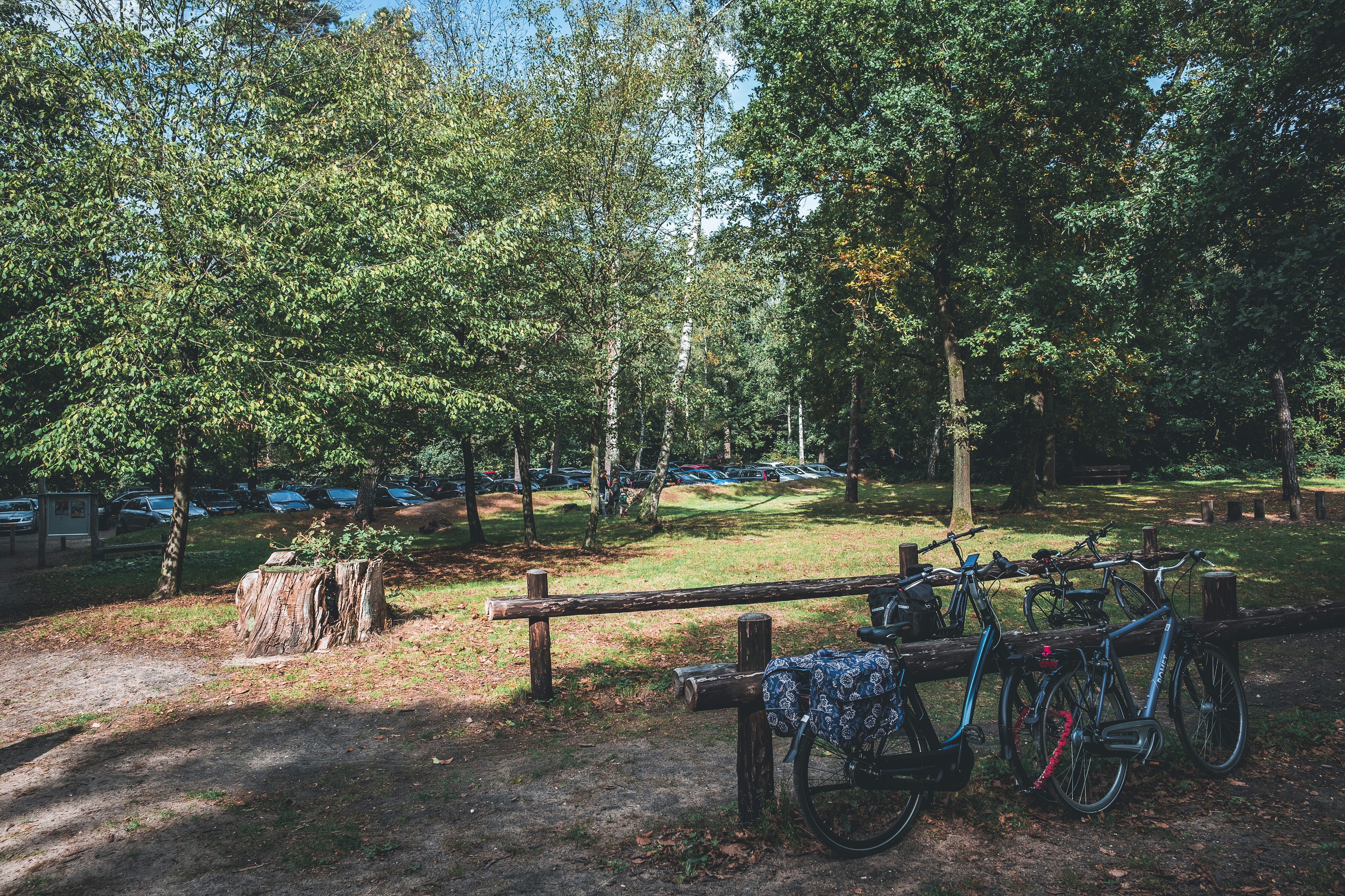 bicycles parked in a park