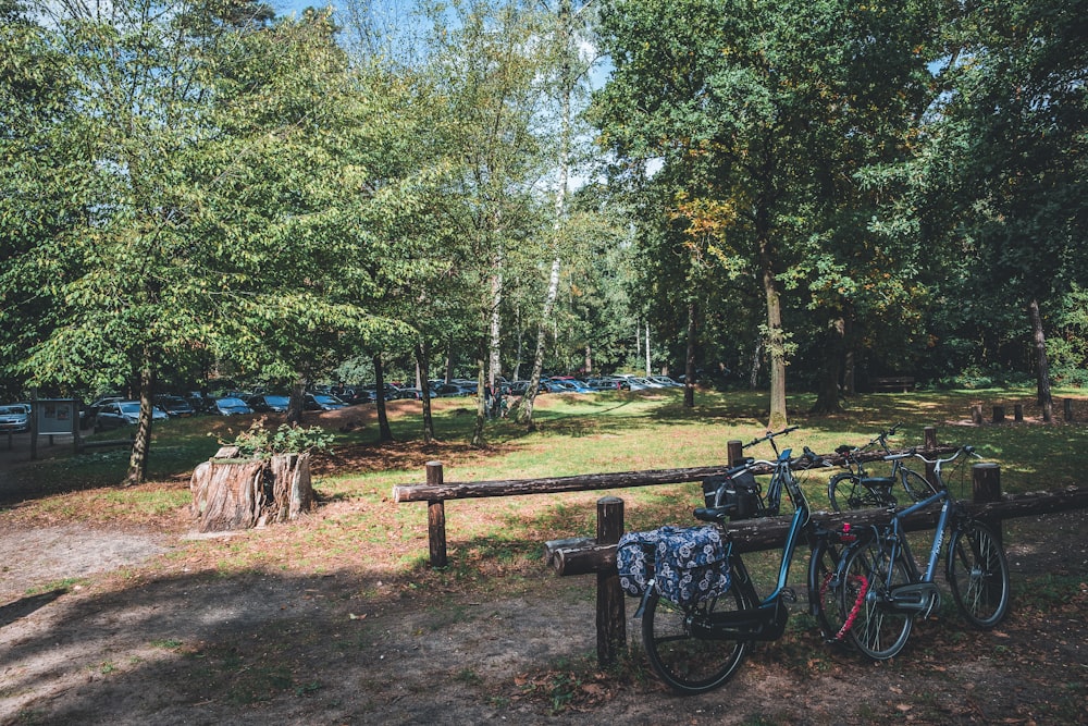 bicycles parked in a park