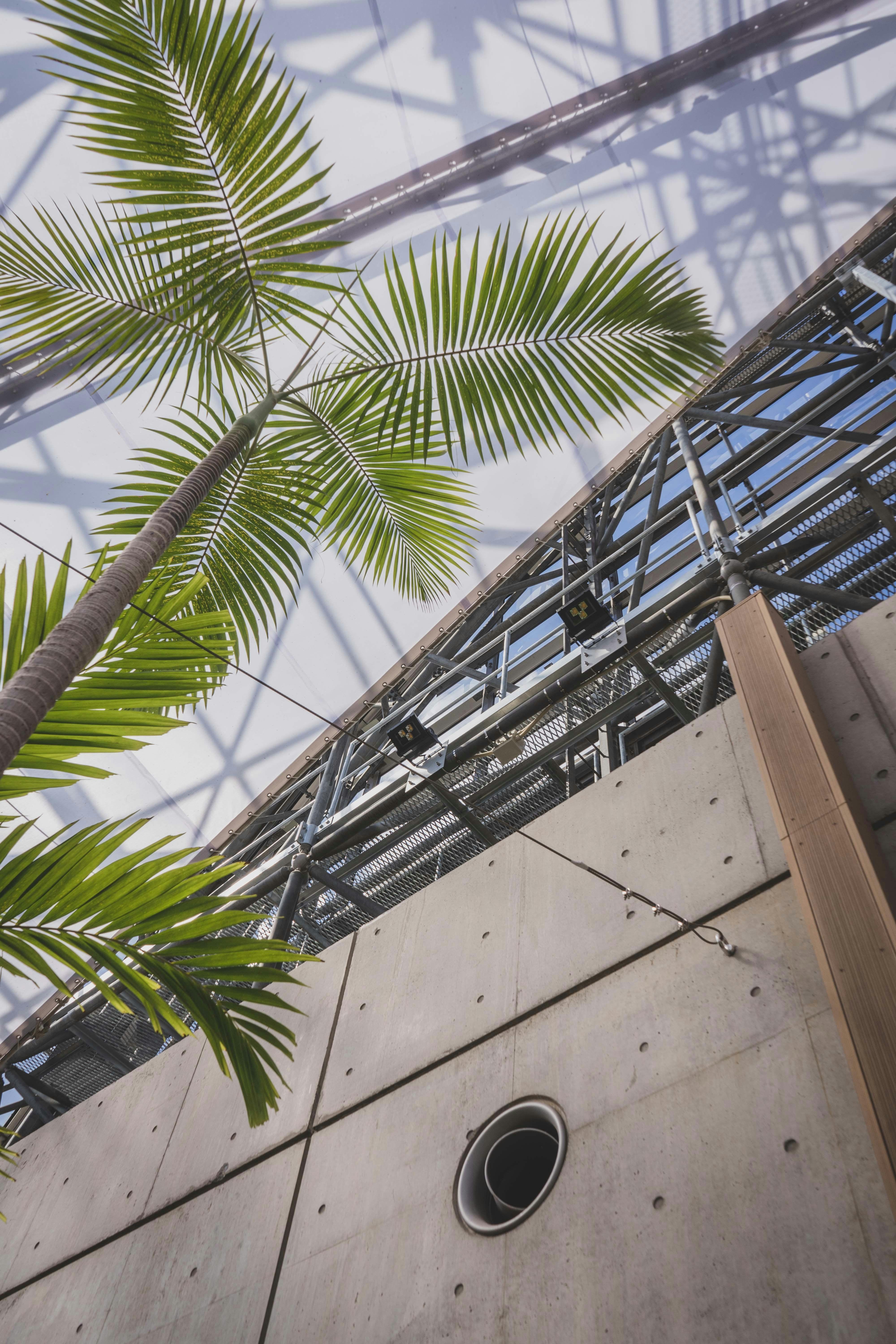 Photo by carolineclementine