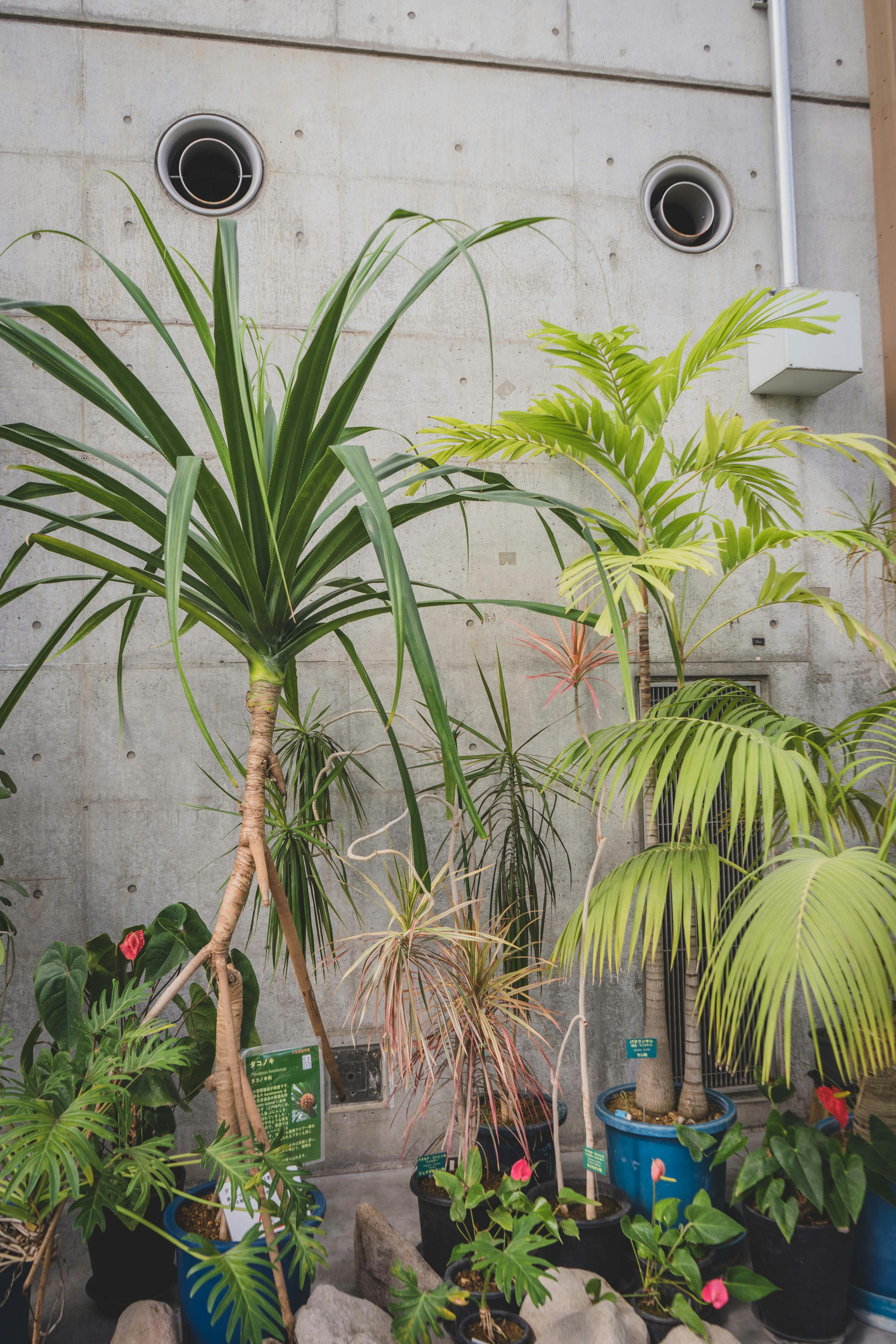 Photo by carolineclementine