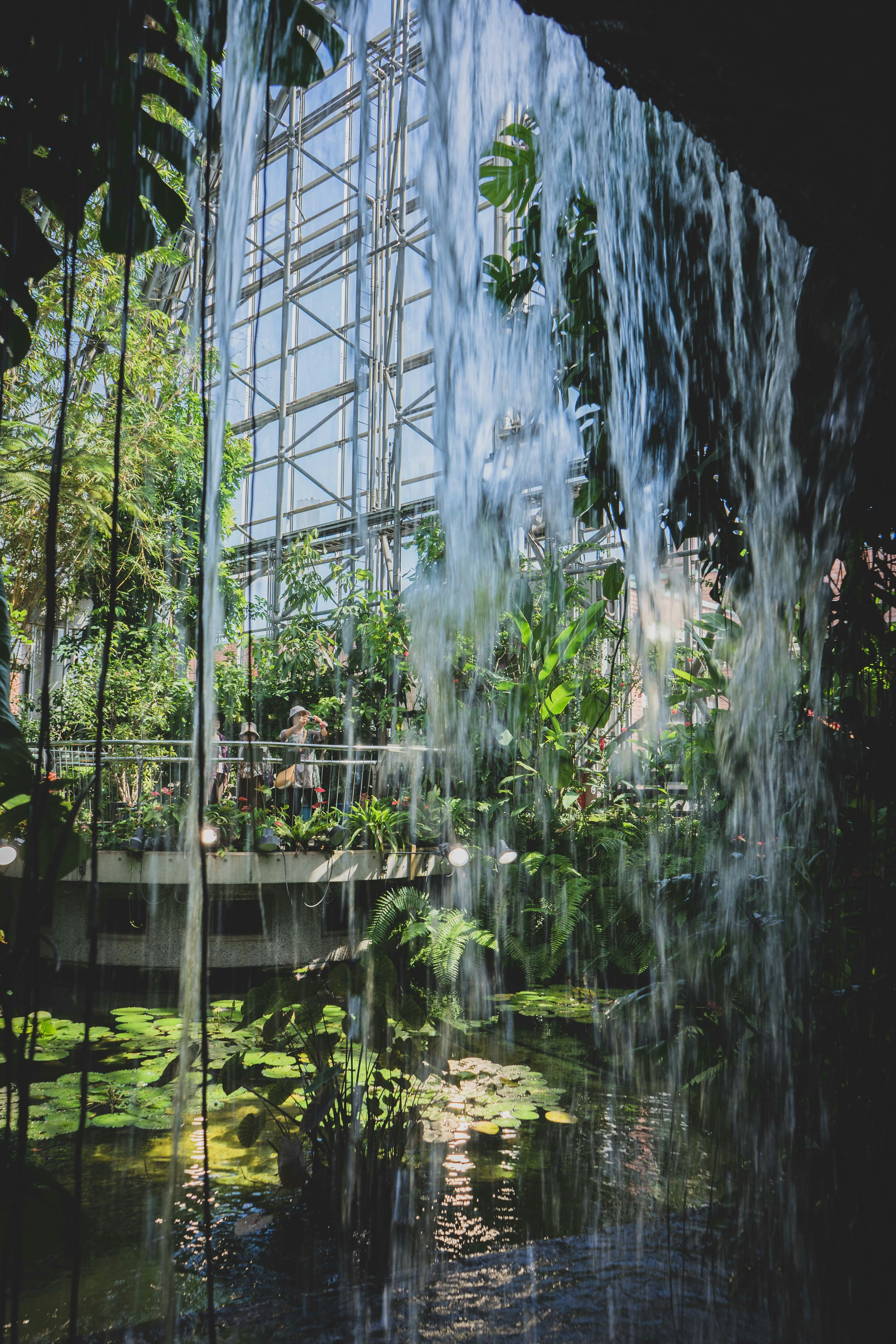 a waterfall with a bridge and plants