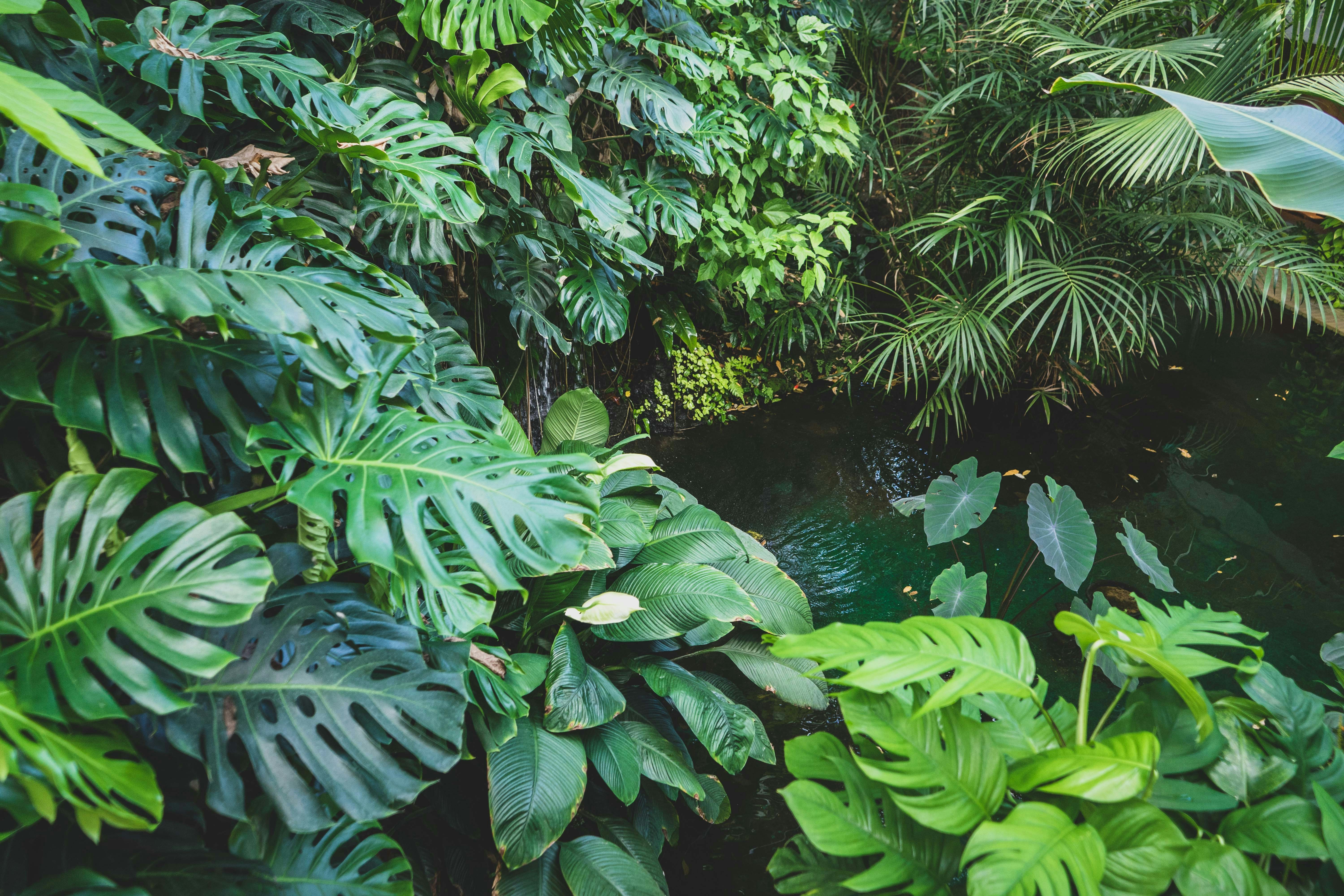 Photo by carolineclementine