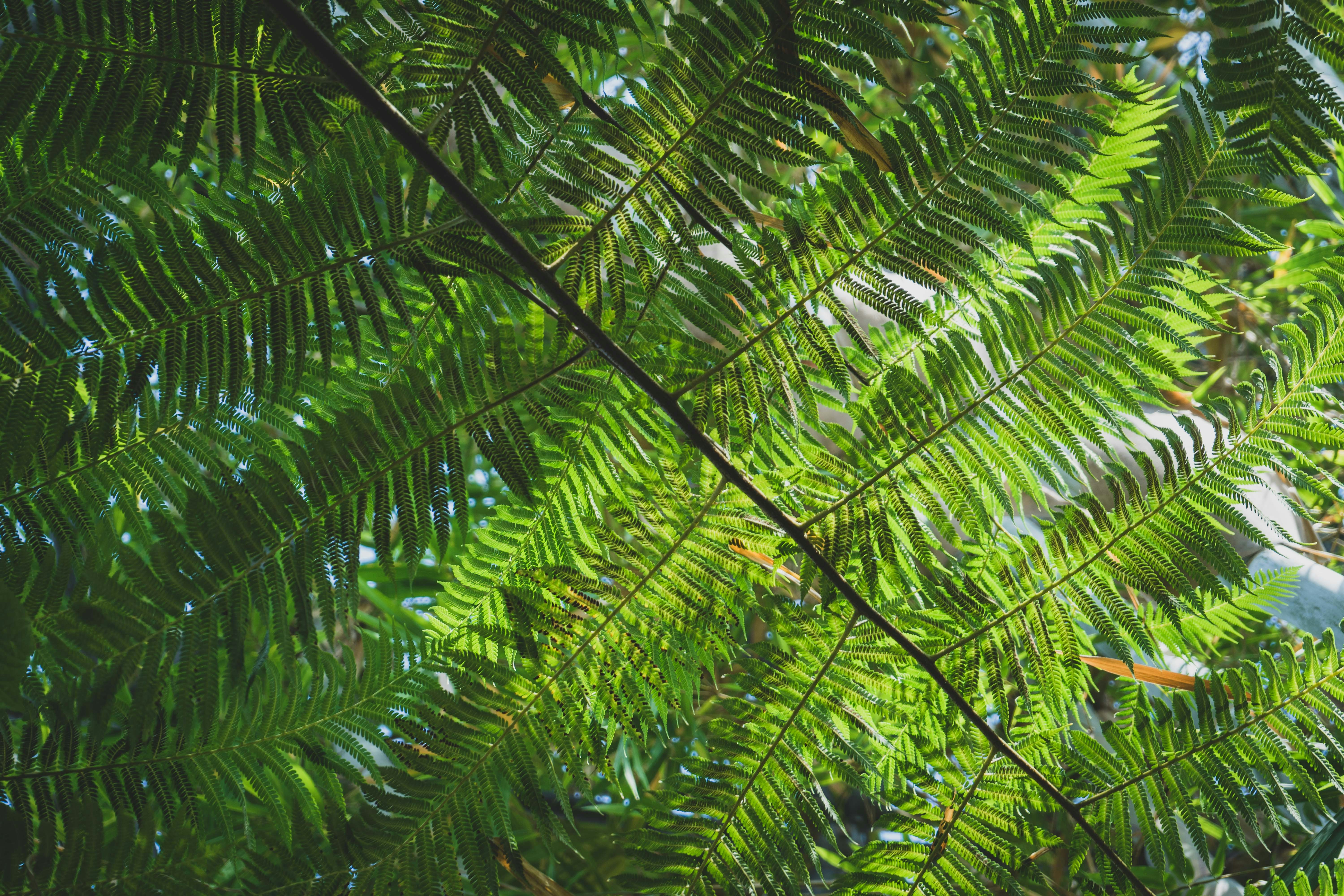 Photo by carolineclementine