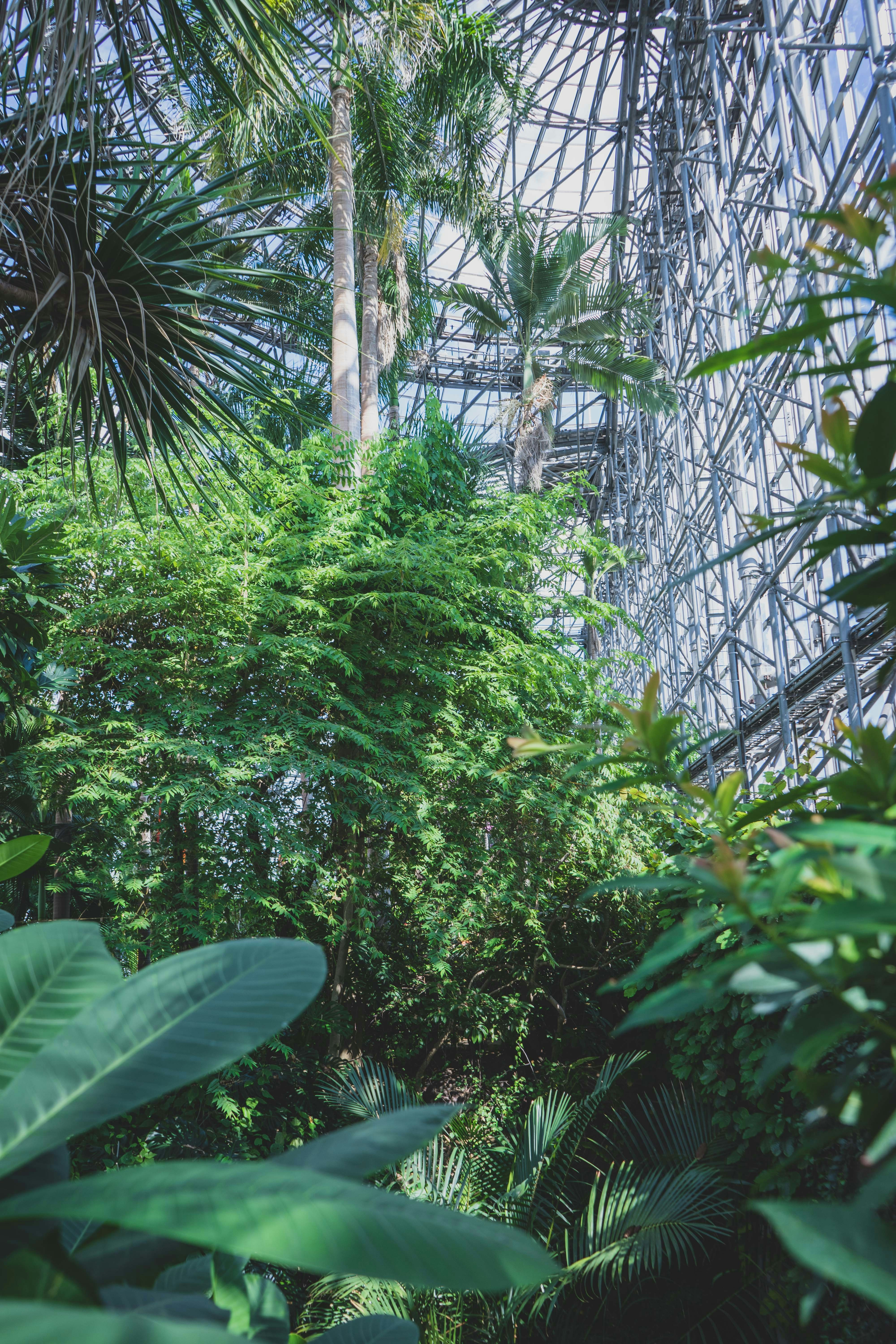 Photo by carolineclementine