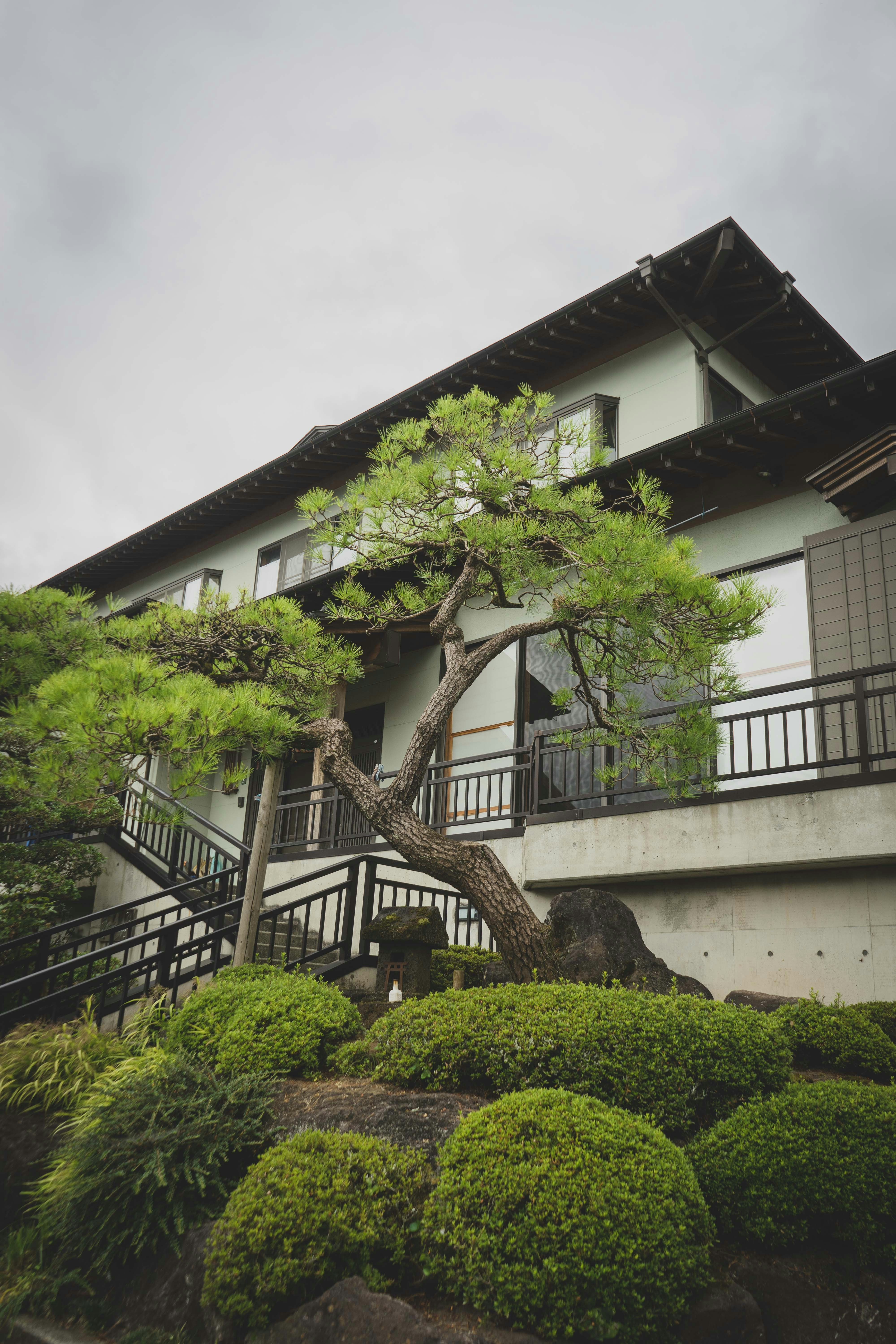 Photo by carolineclementine