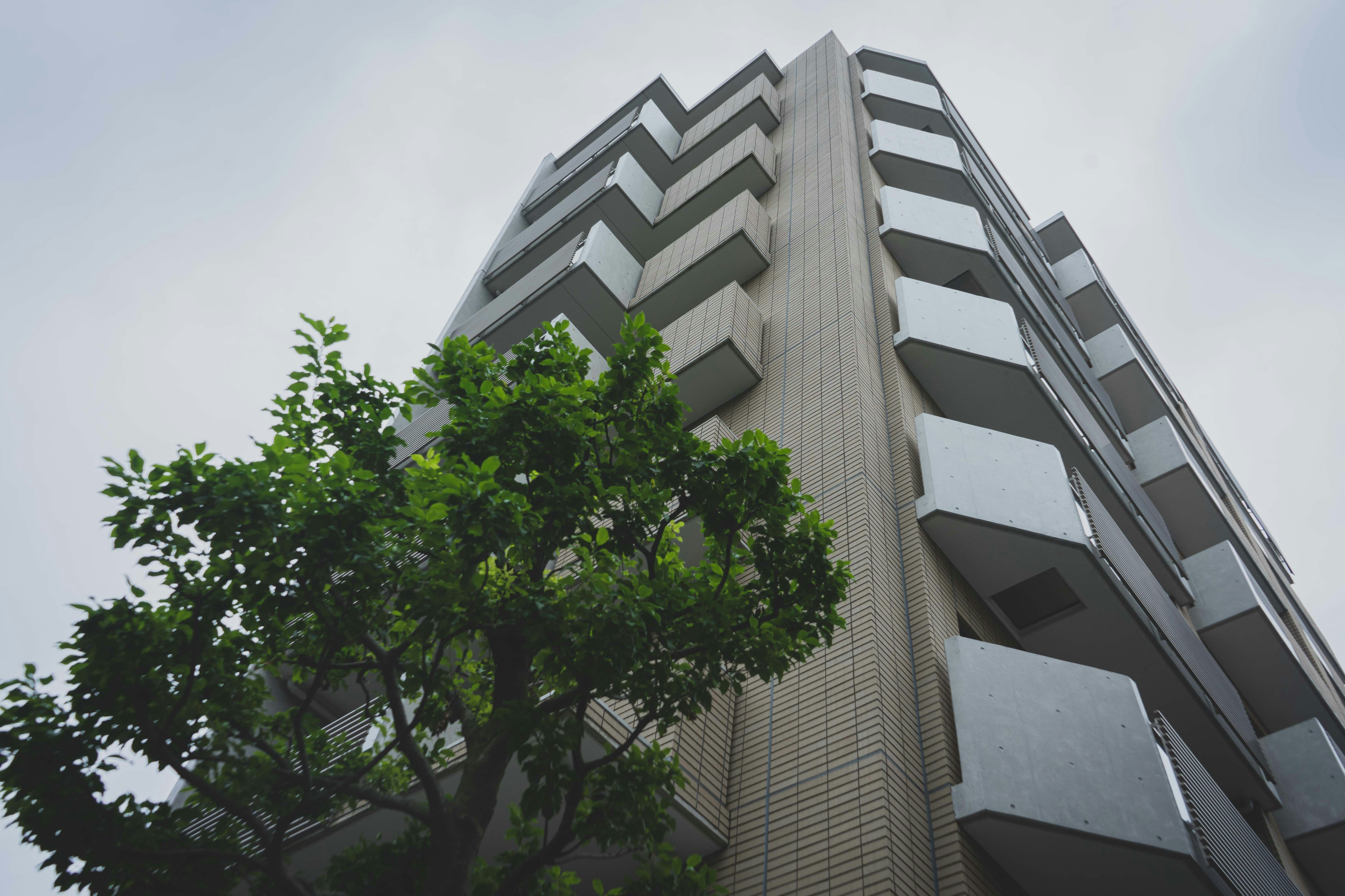 a tall building with a tree in front of it