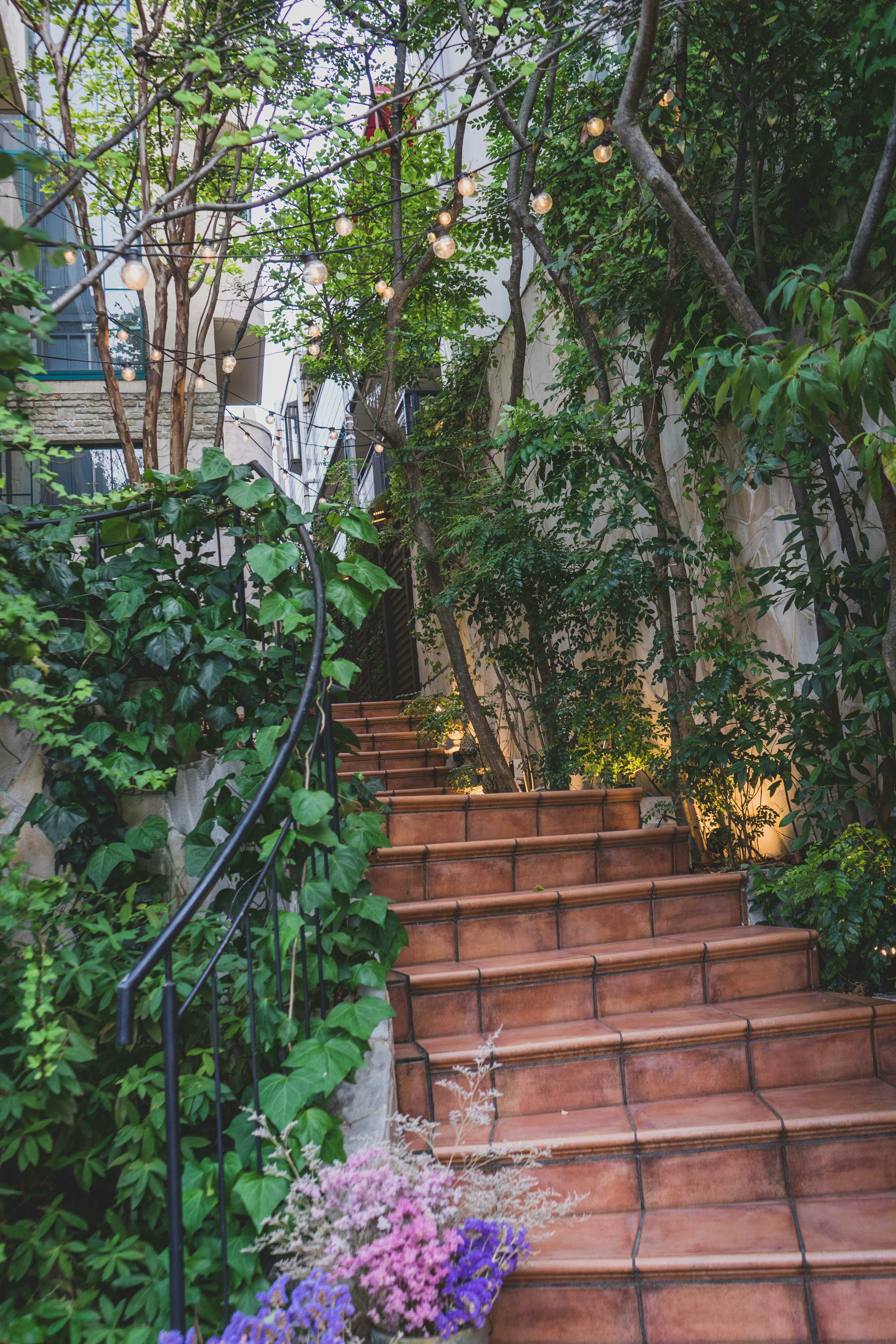 Photo by carolineclementine