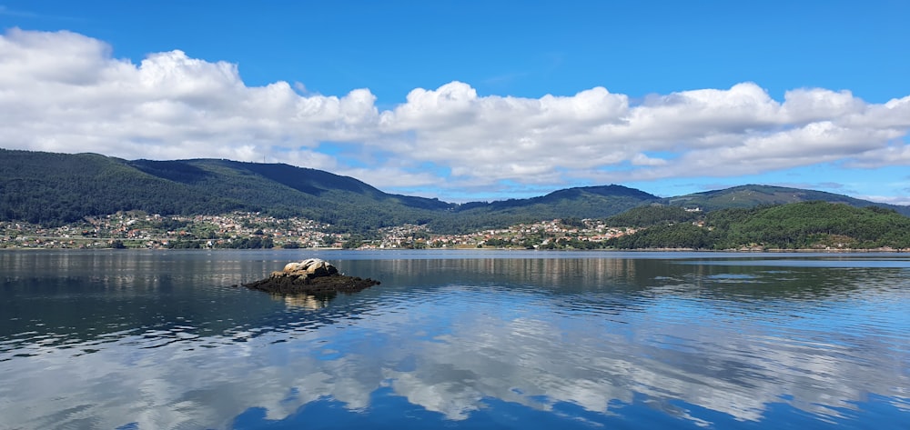 a body of water with a rock in it and a city in the distance