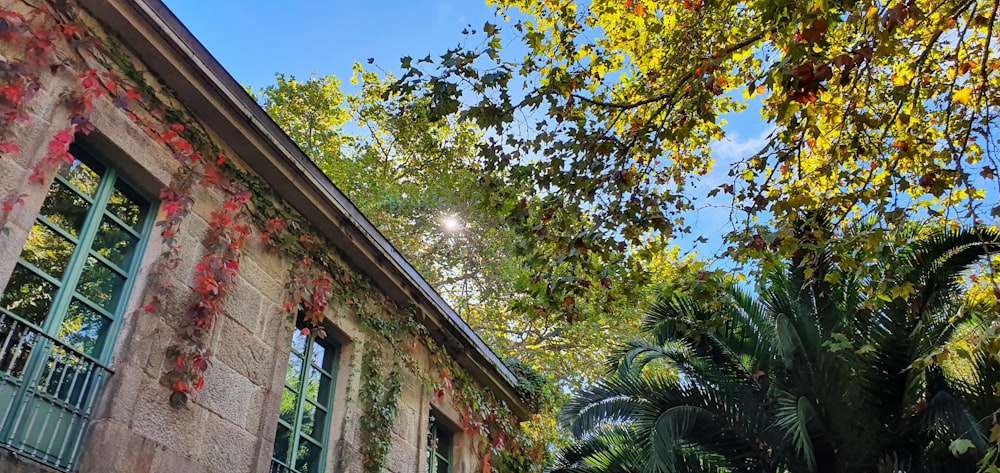 a building with trees in the front