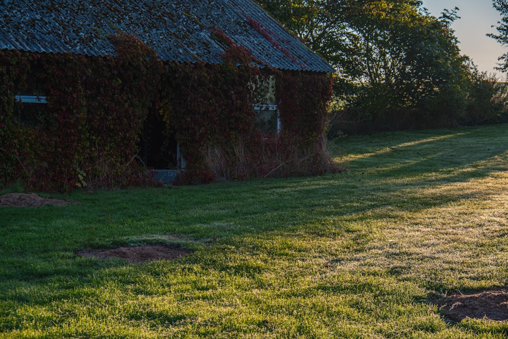 a house with a grass yard