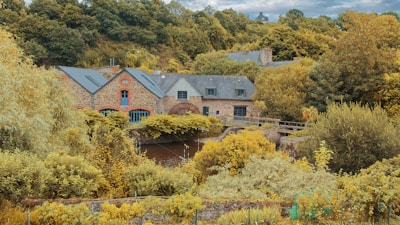 a house surrounded by trees
