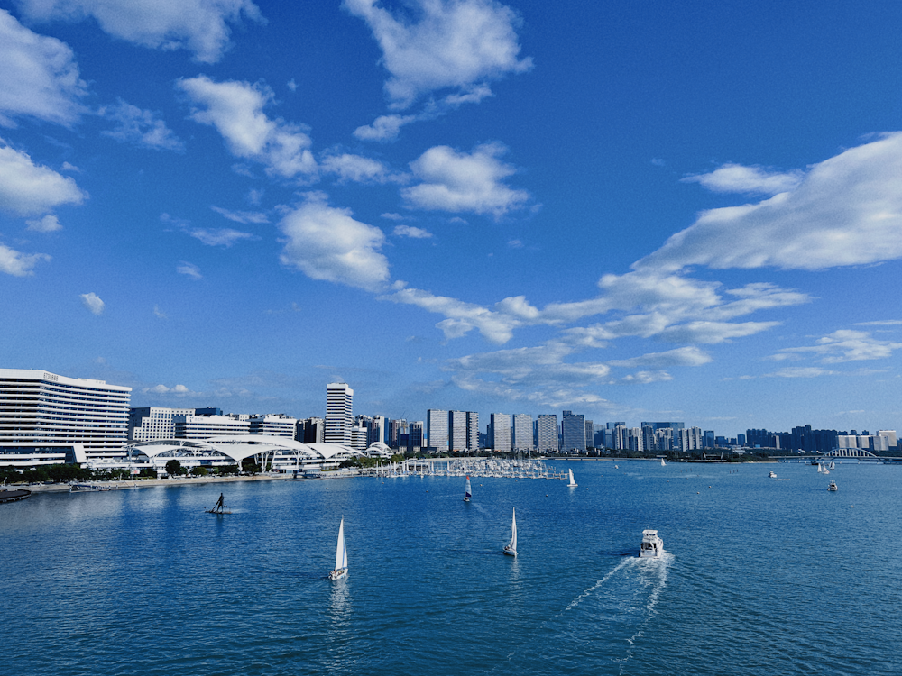 a body of water with boats in it and a city in the background