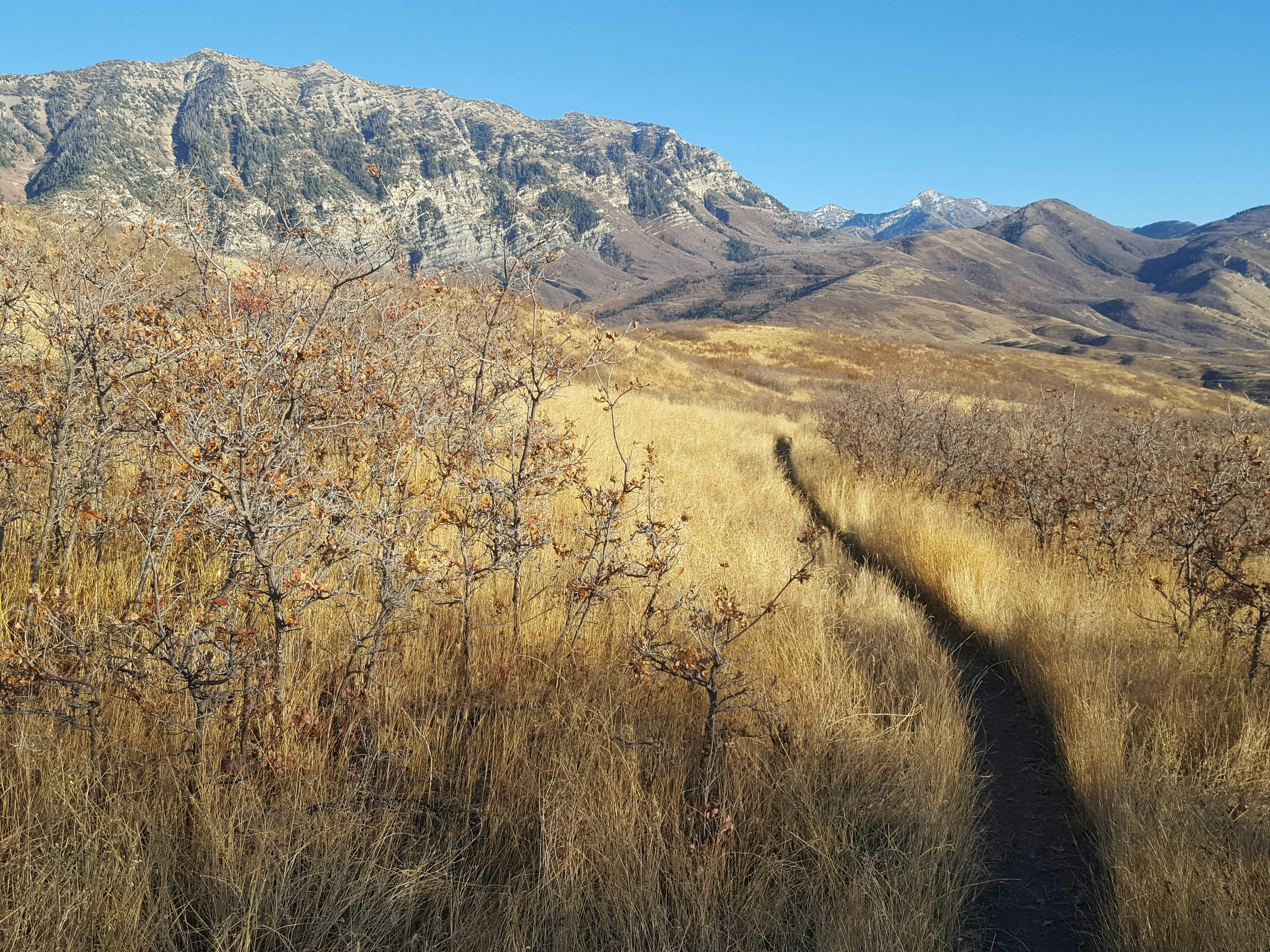 Photo by kevinzollinger