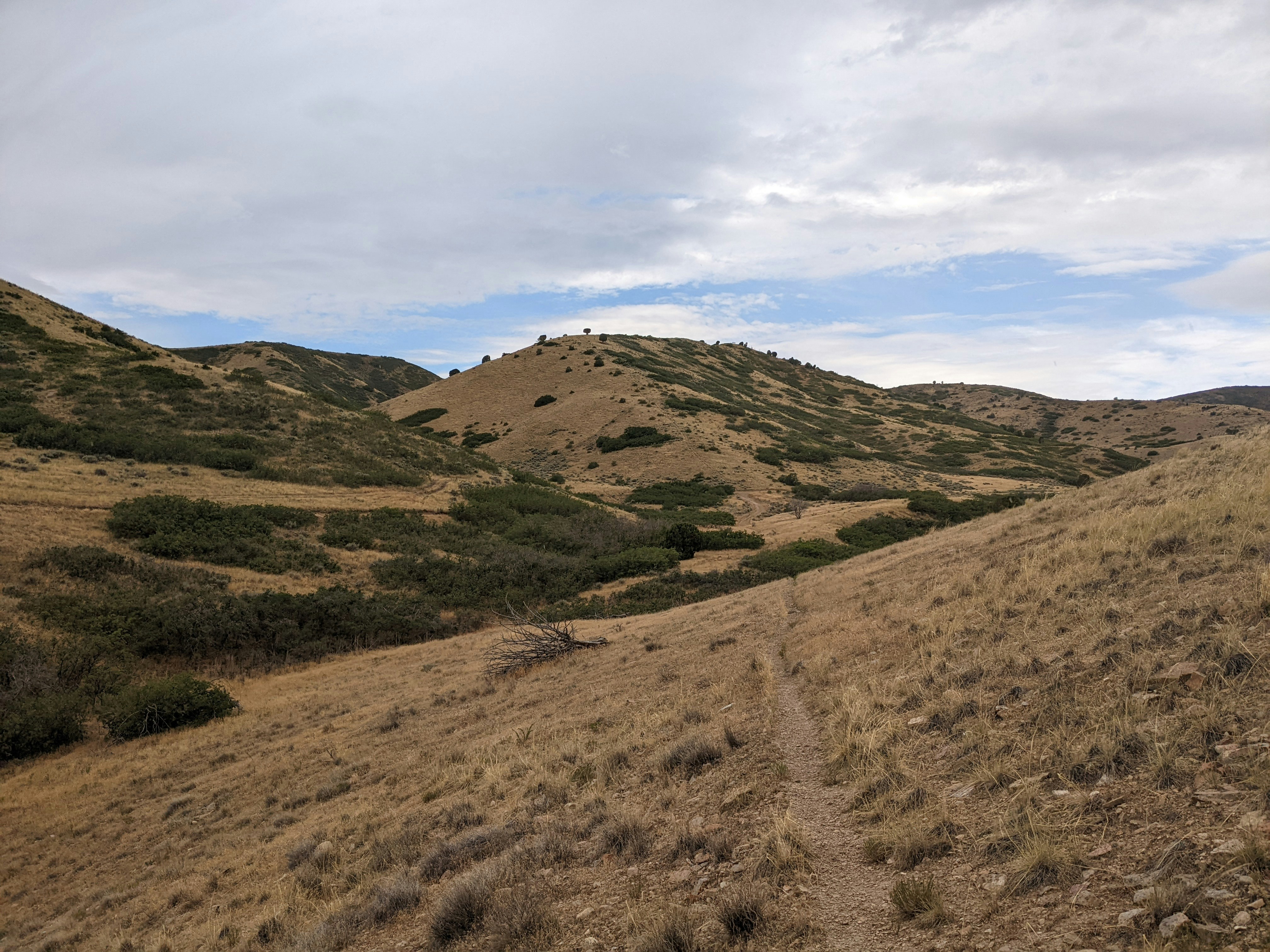 Photo by kevinzollinger