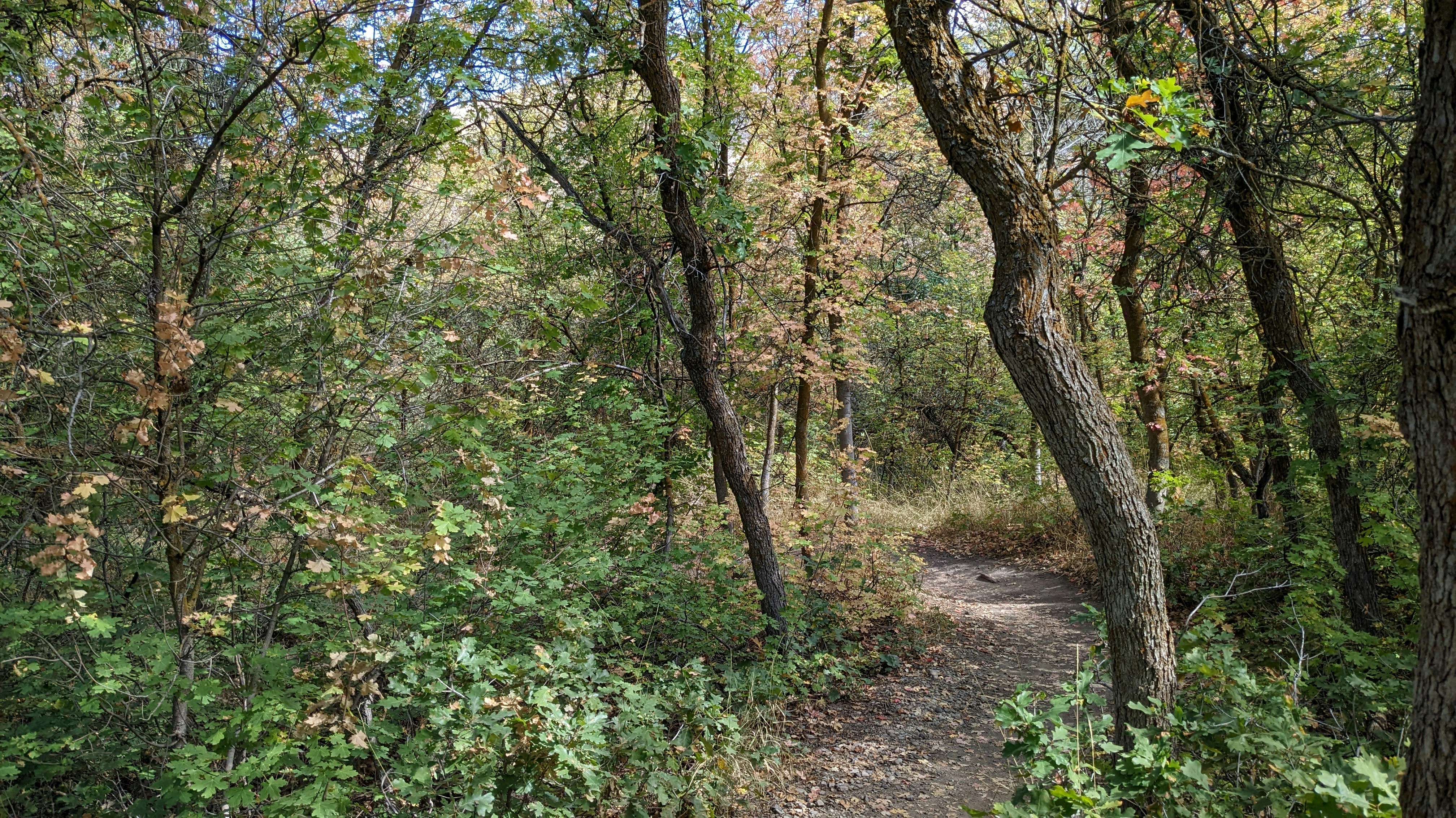 Photo by kevinzollinger