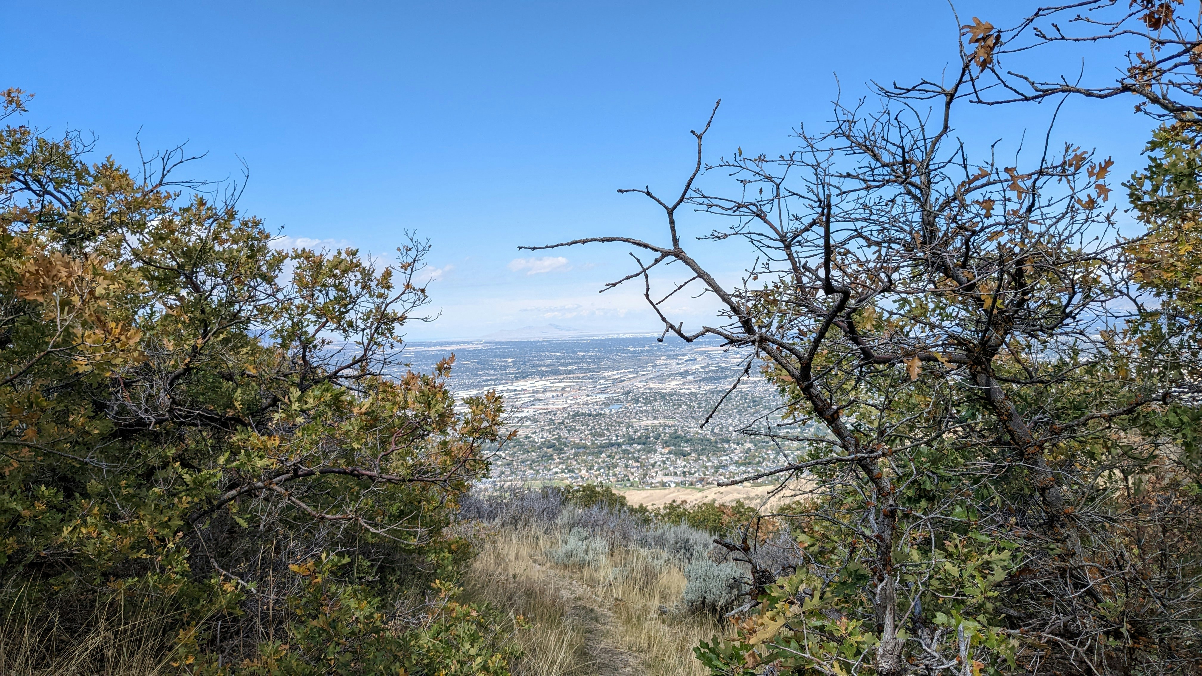 Photo by kevinzollinger