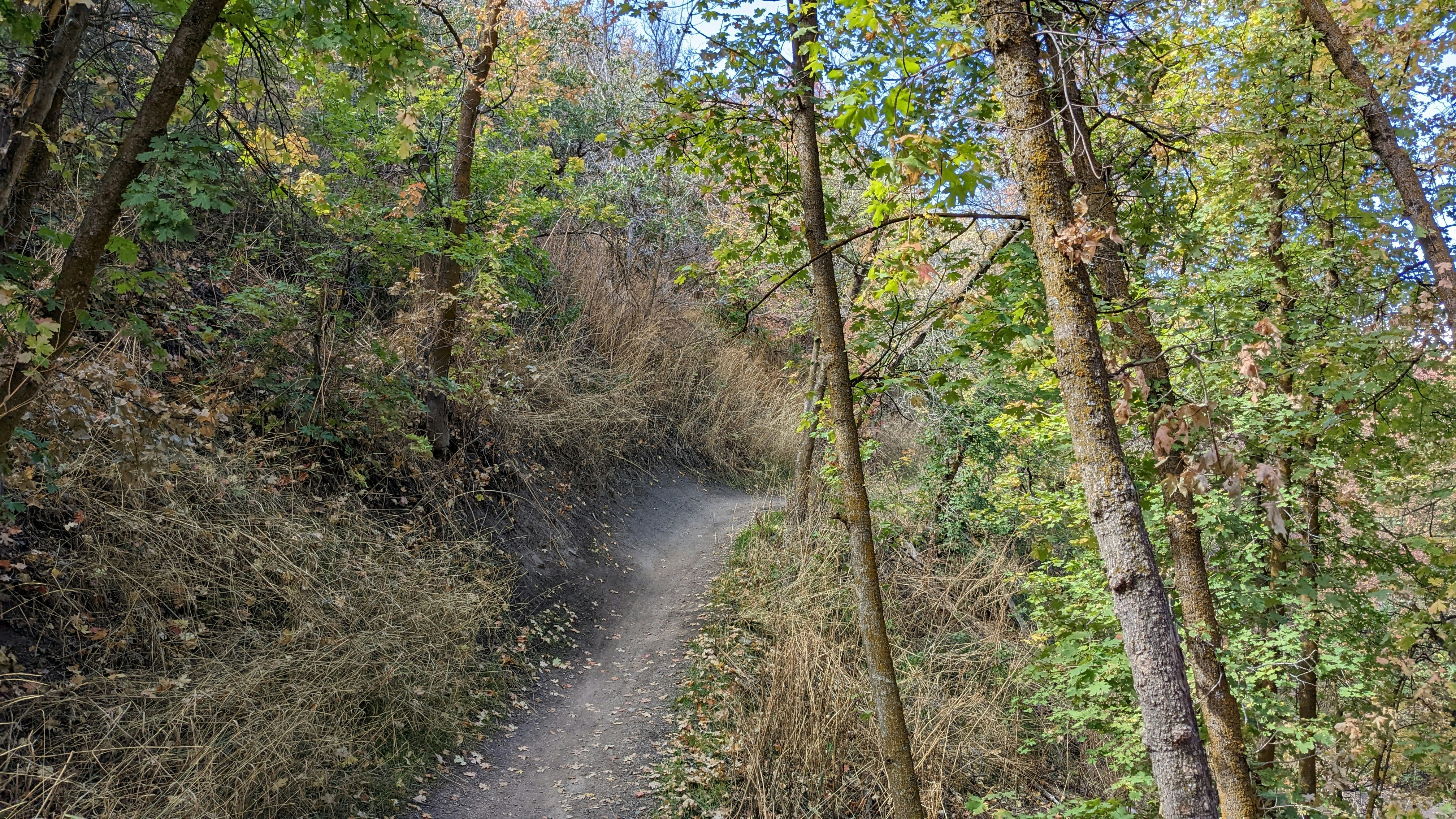 Photo by kevinzollinger