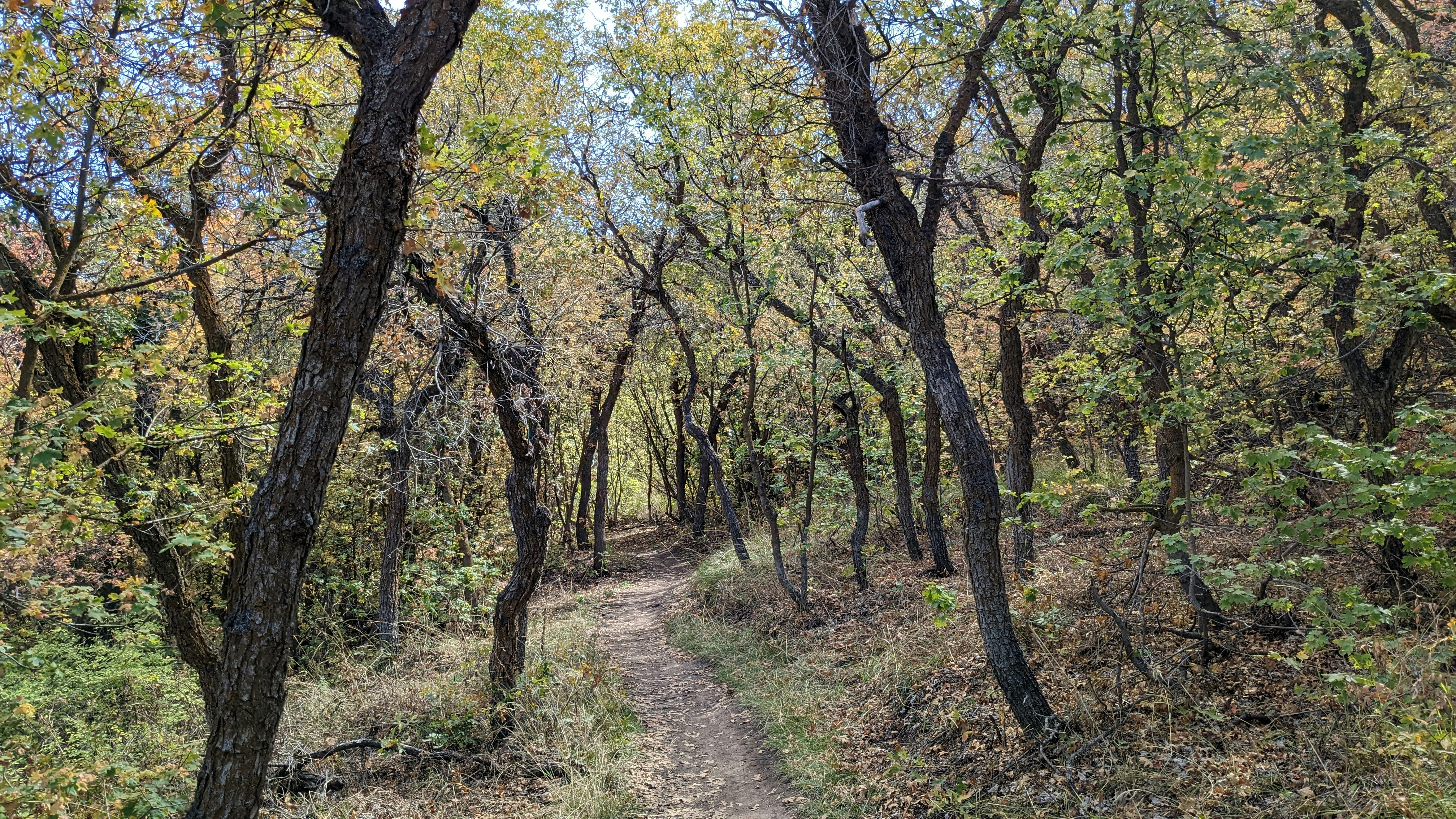 Photo by kevinzollinger