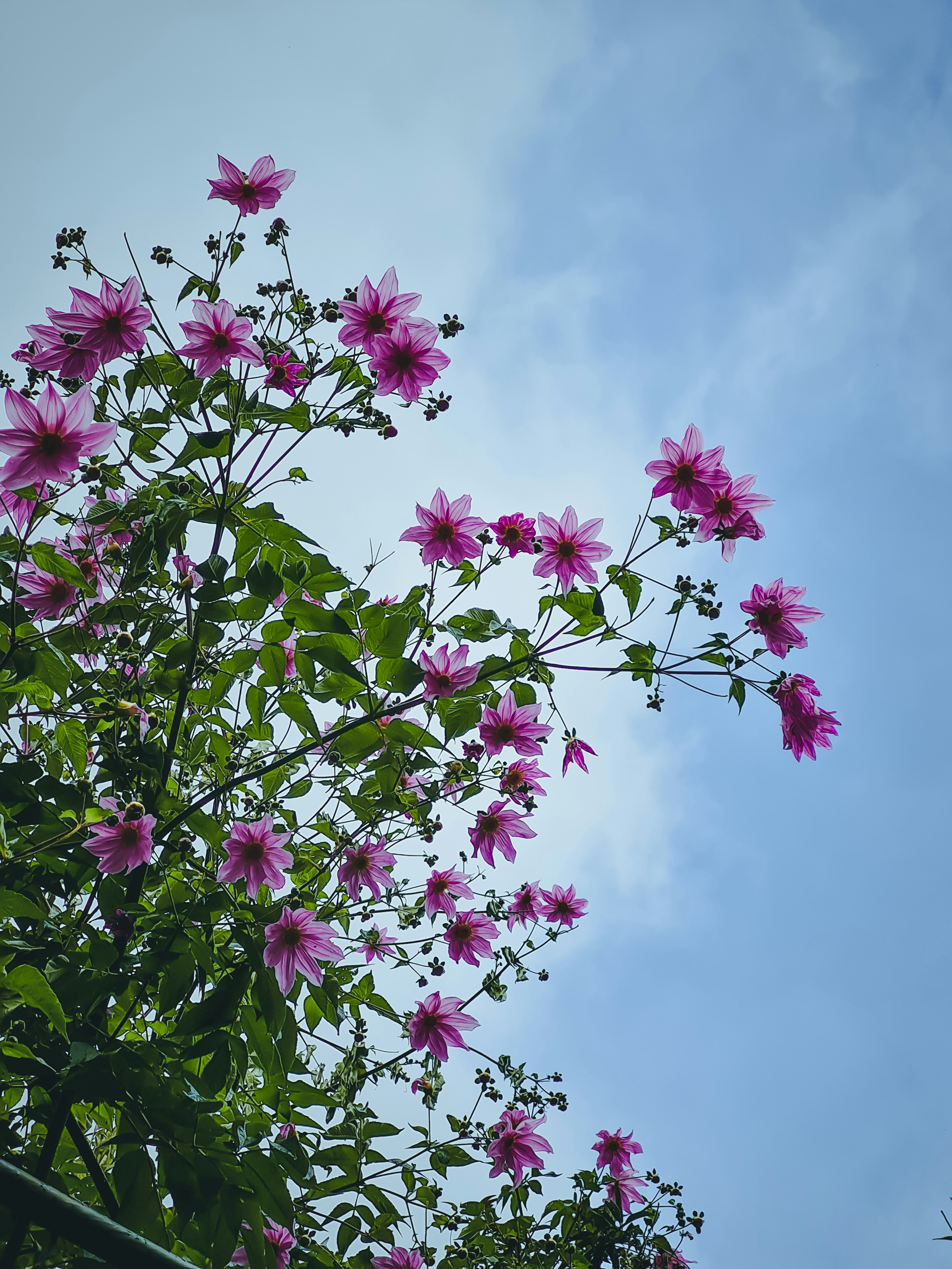 Photo by thehouseof_p