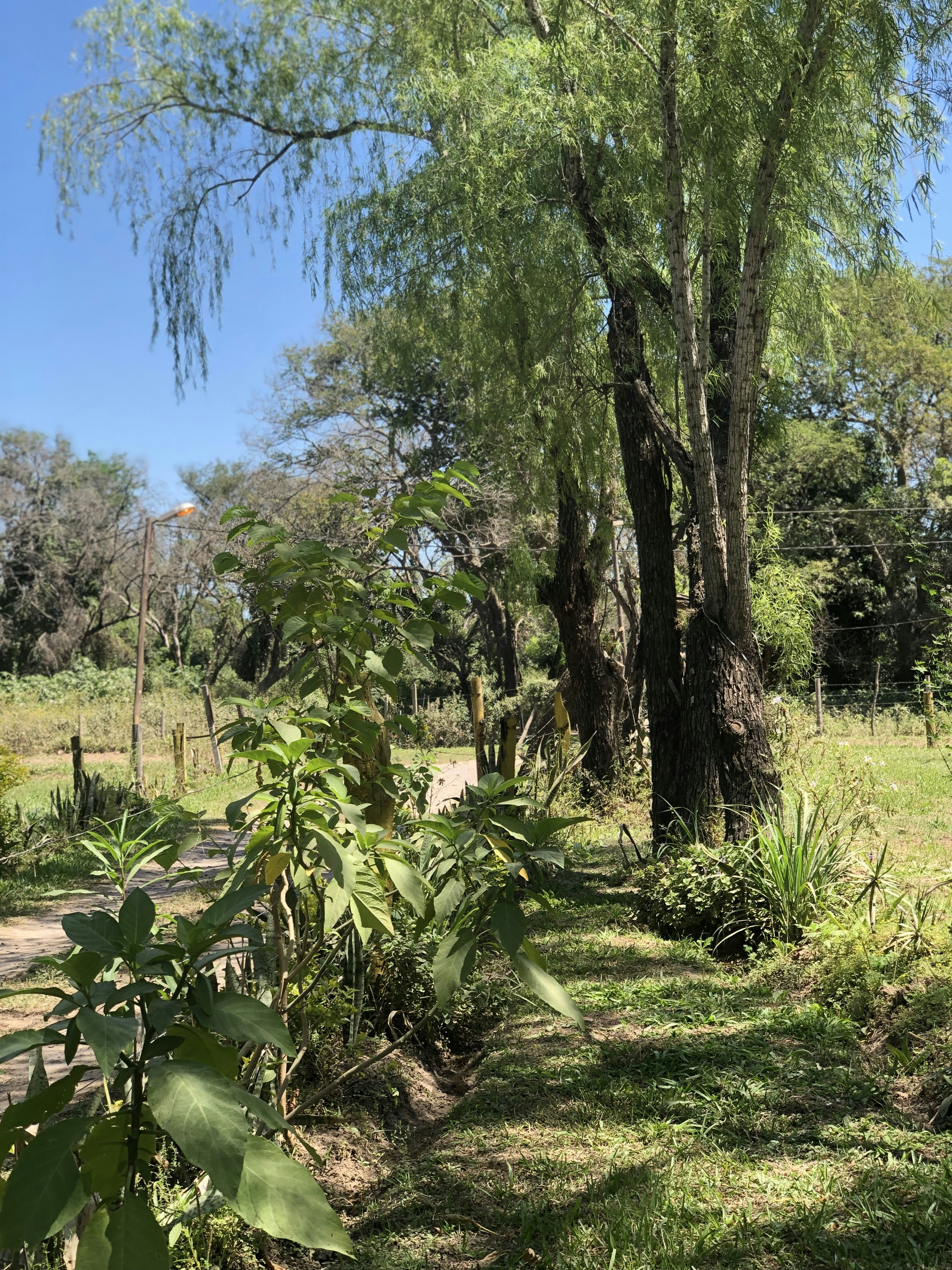 Photo by sunshinestudio82